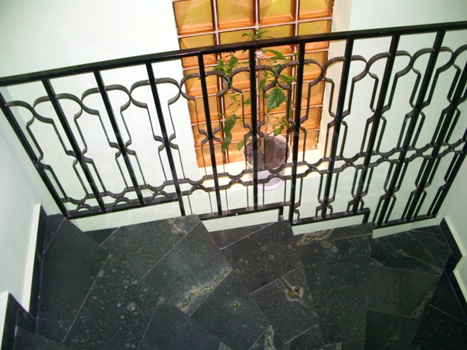 Gallery Picture 12