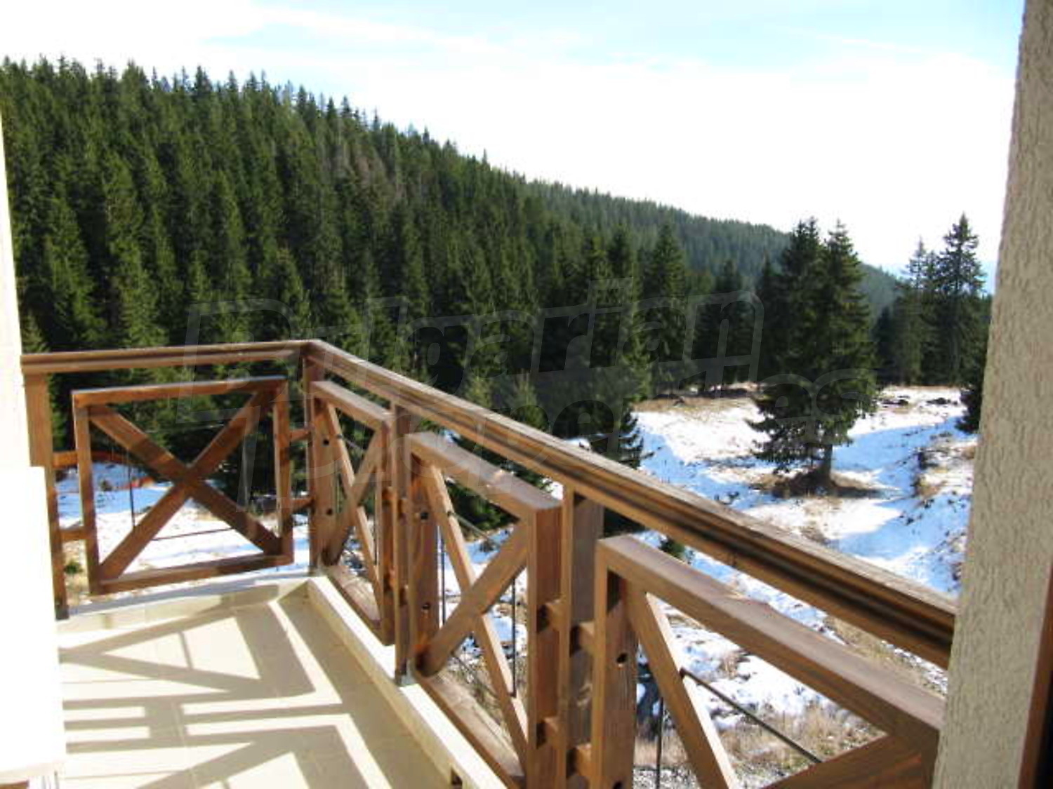 Gallery Picture 11
