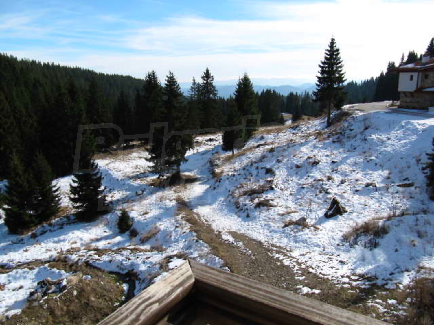 Gallery Picture 12