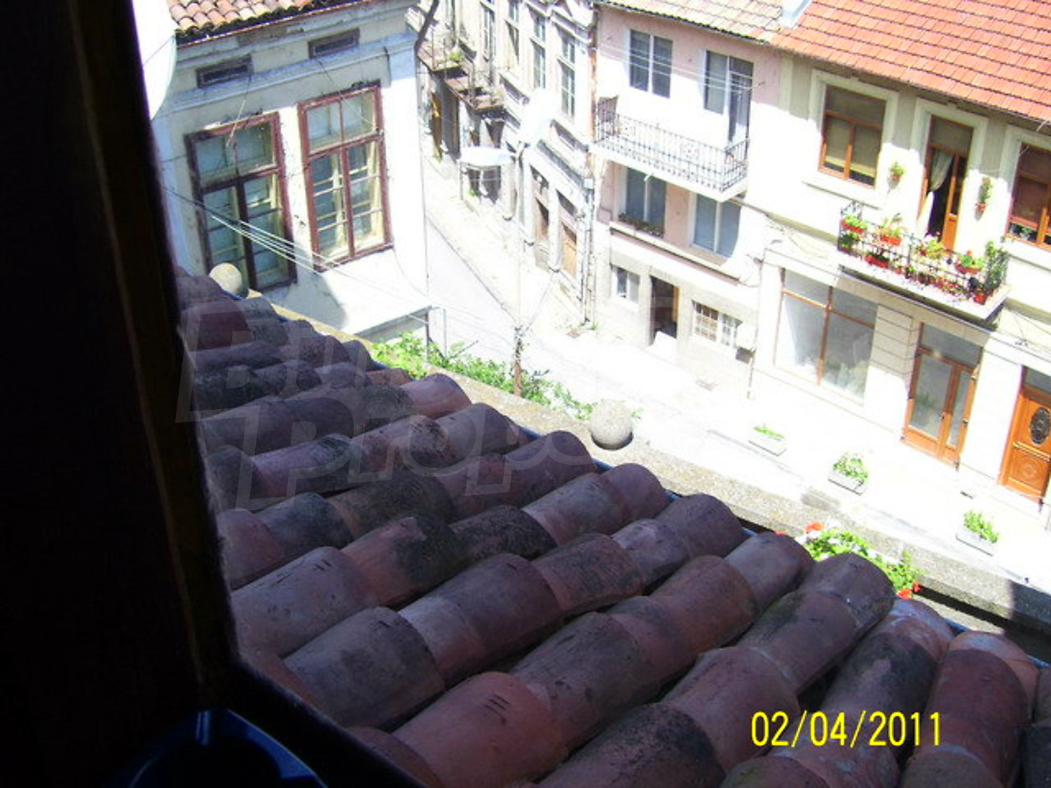 Gallery Picture 14