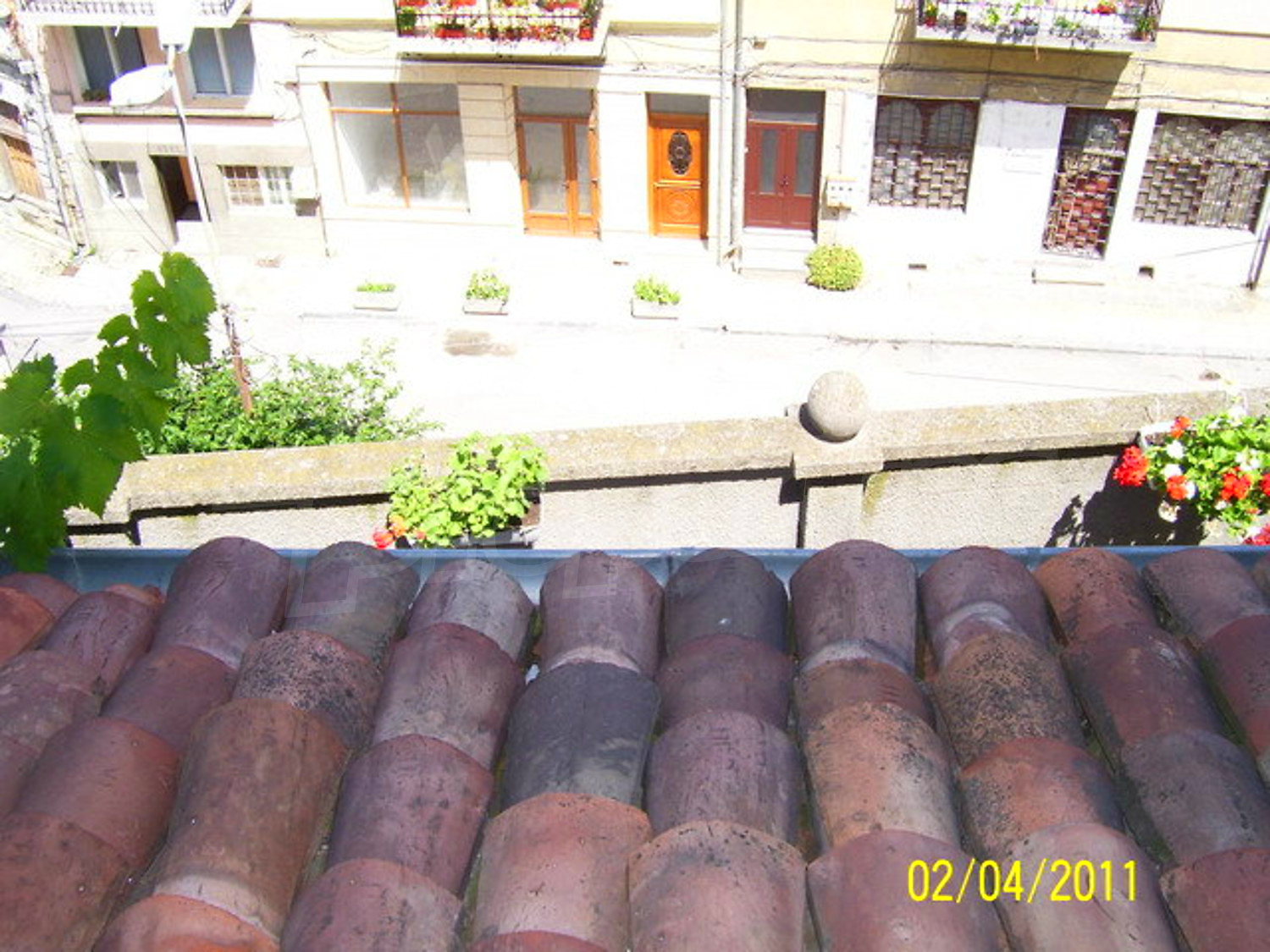 Gallery Picture 17