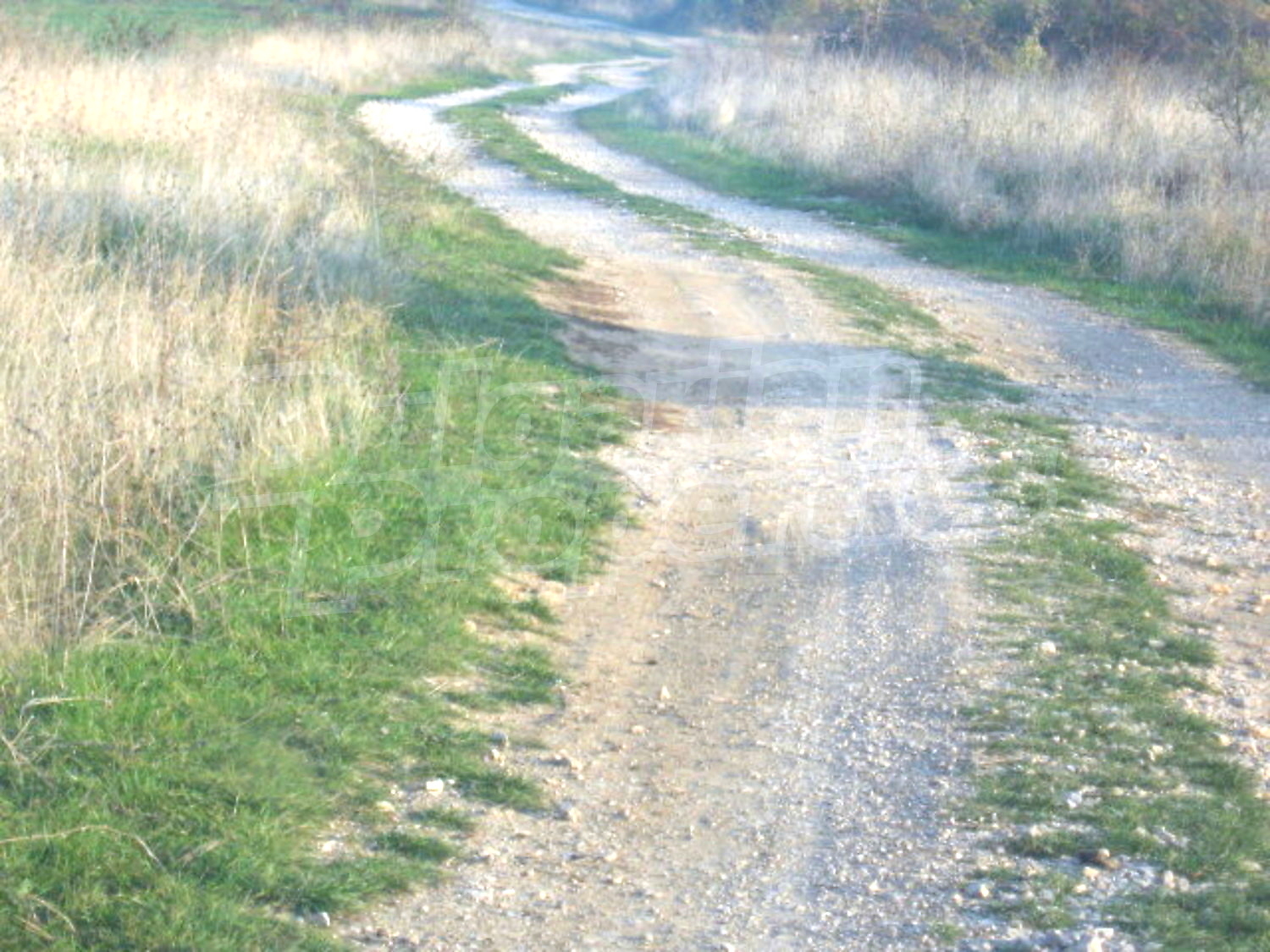 Gallery Picture 12
