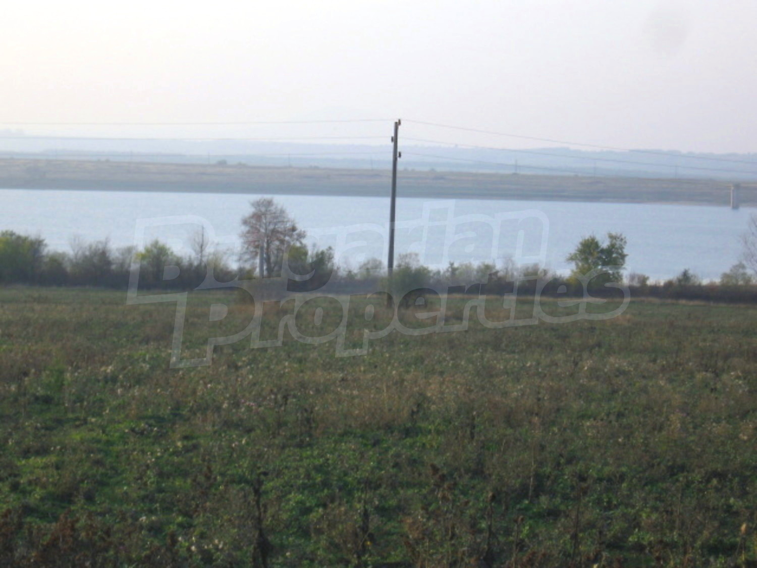 Gallery Picture 6