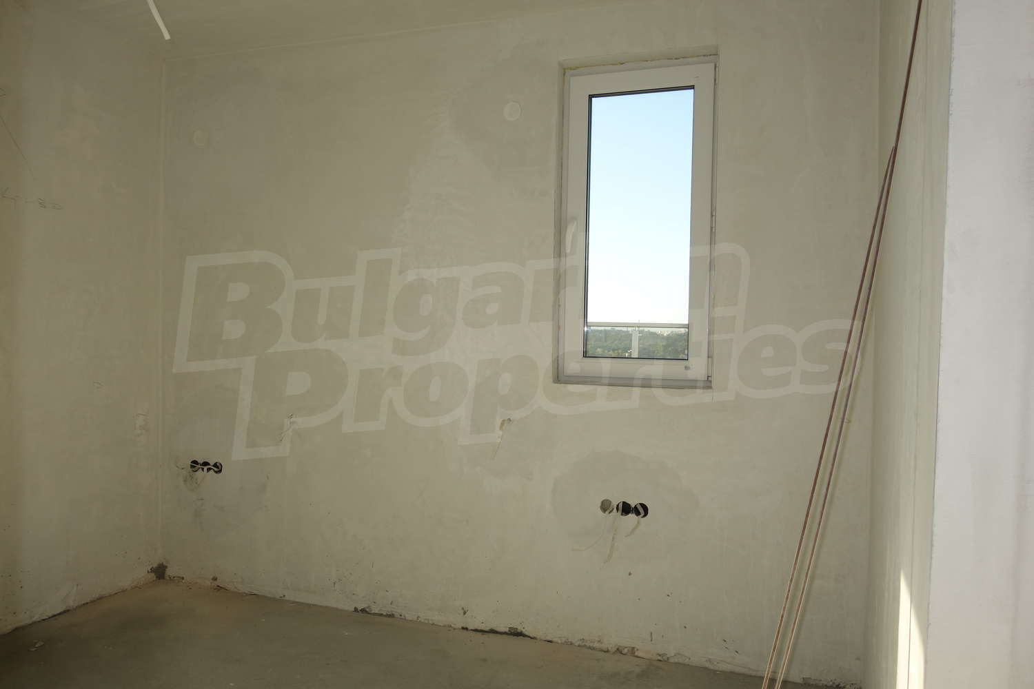 Gallery Picture 14