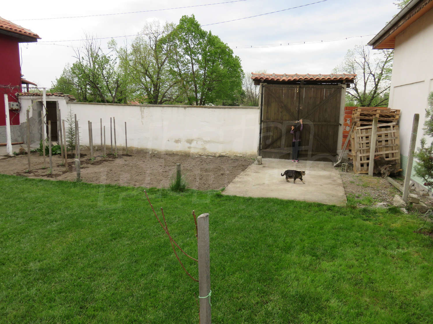 Gallery Picture 32