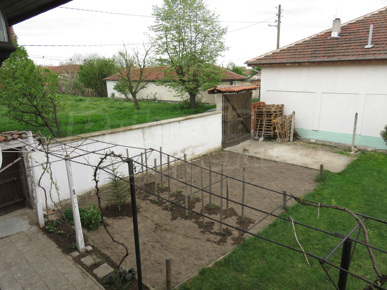 Gallery Picture 52