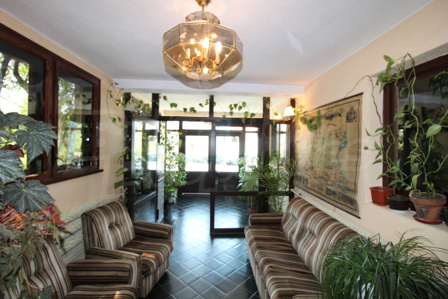 Gallery Picture 11