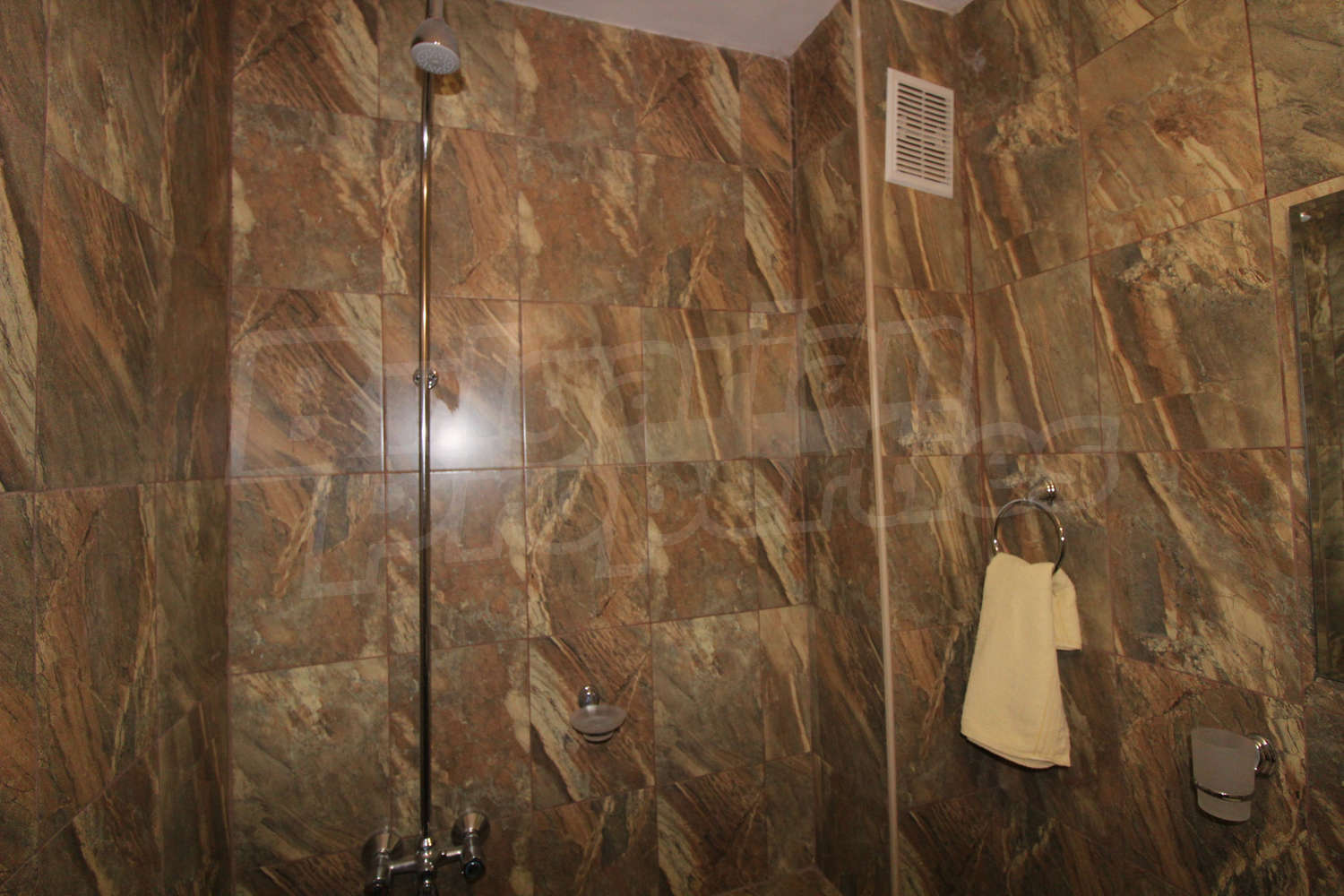 Gallery Picture 28
