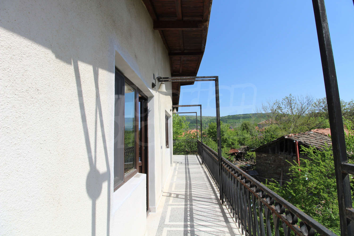Gallery Picture 37
