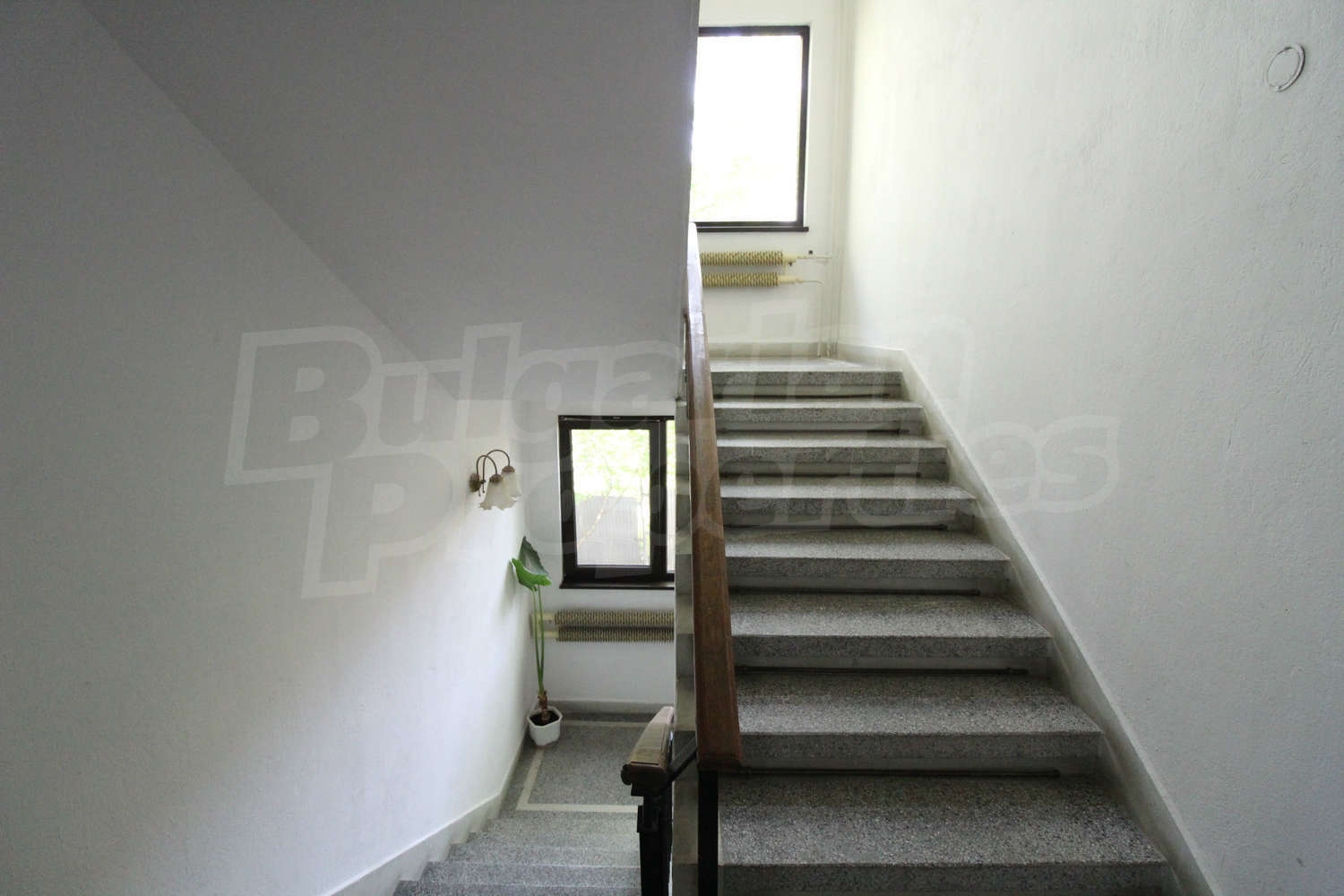Gallery Picture 46