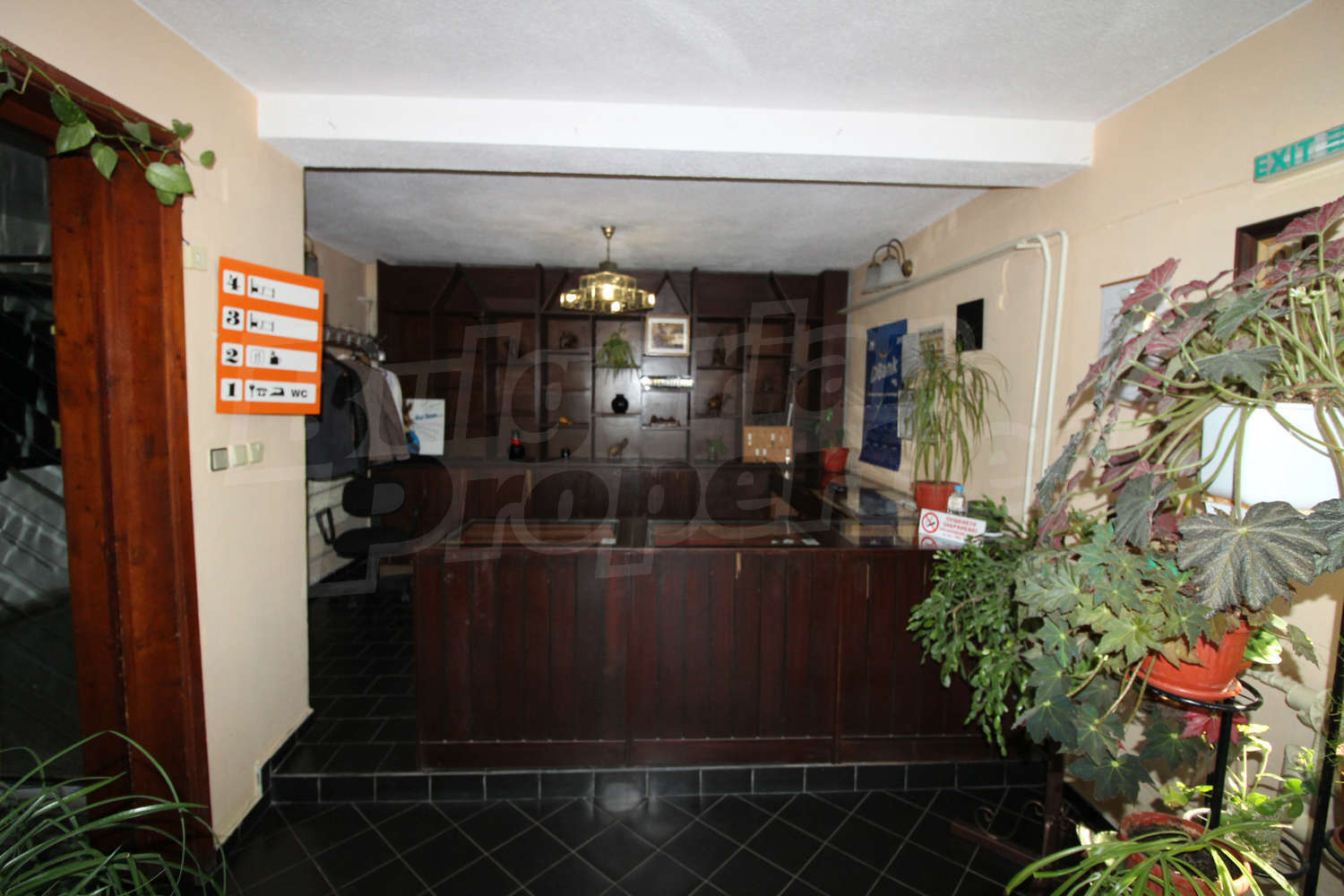 Gallery Picture 49