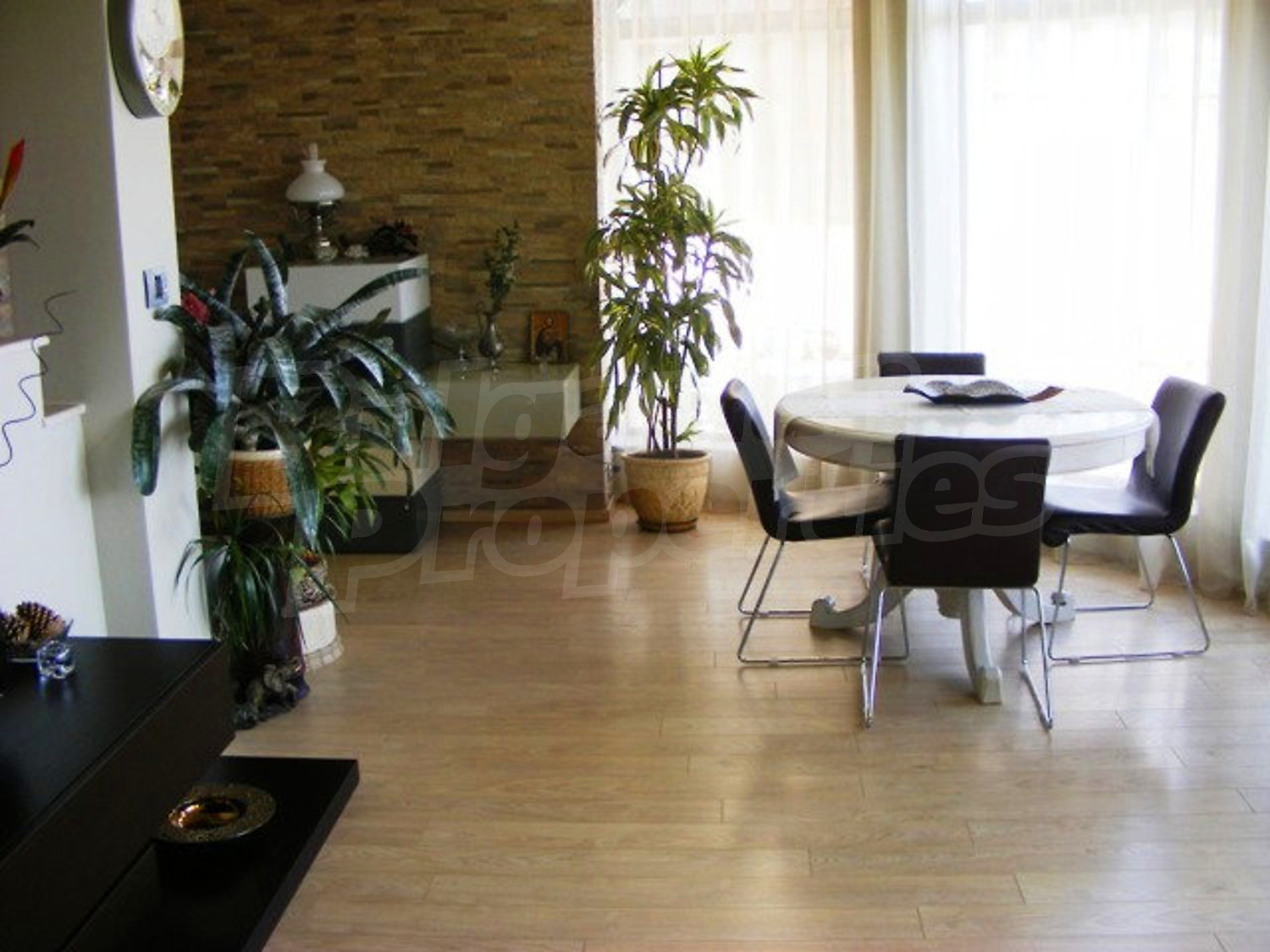 Gallery Picture 16