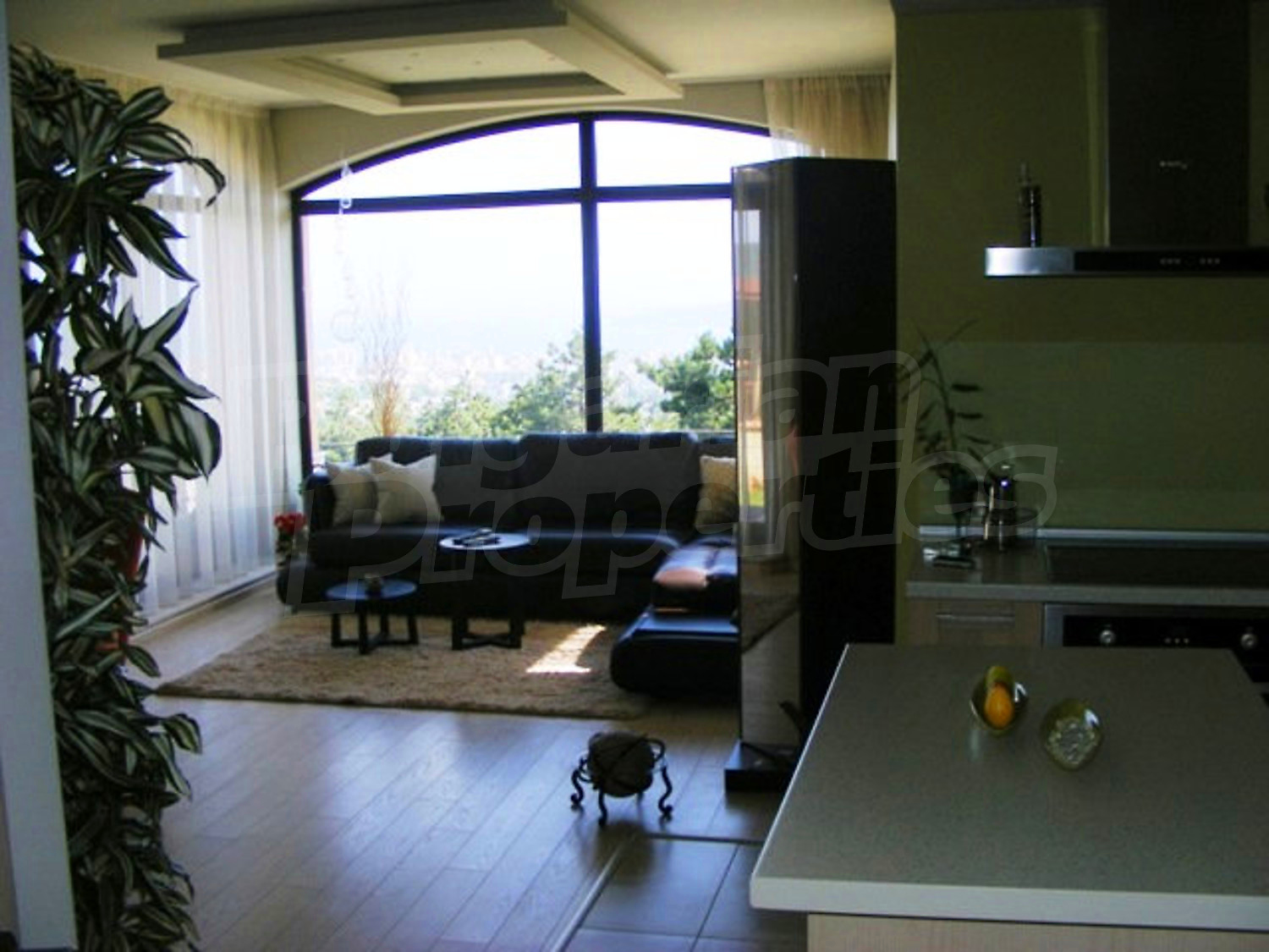 Gallery Picture 17