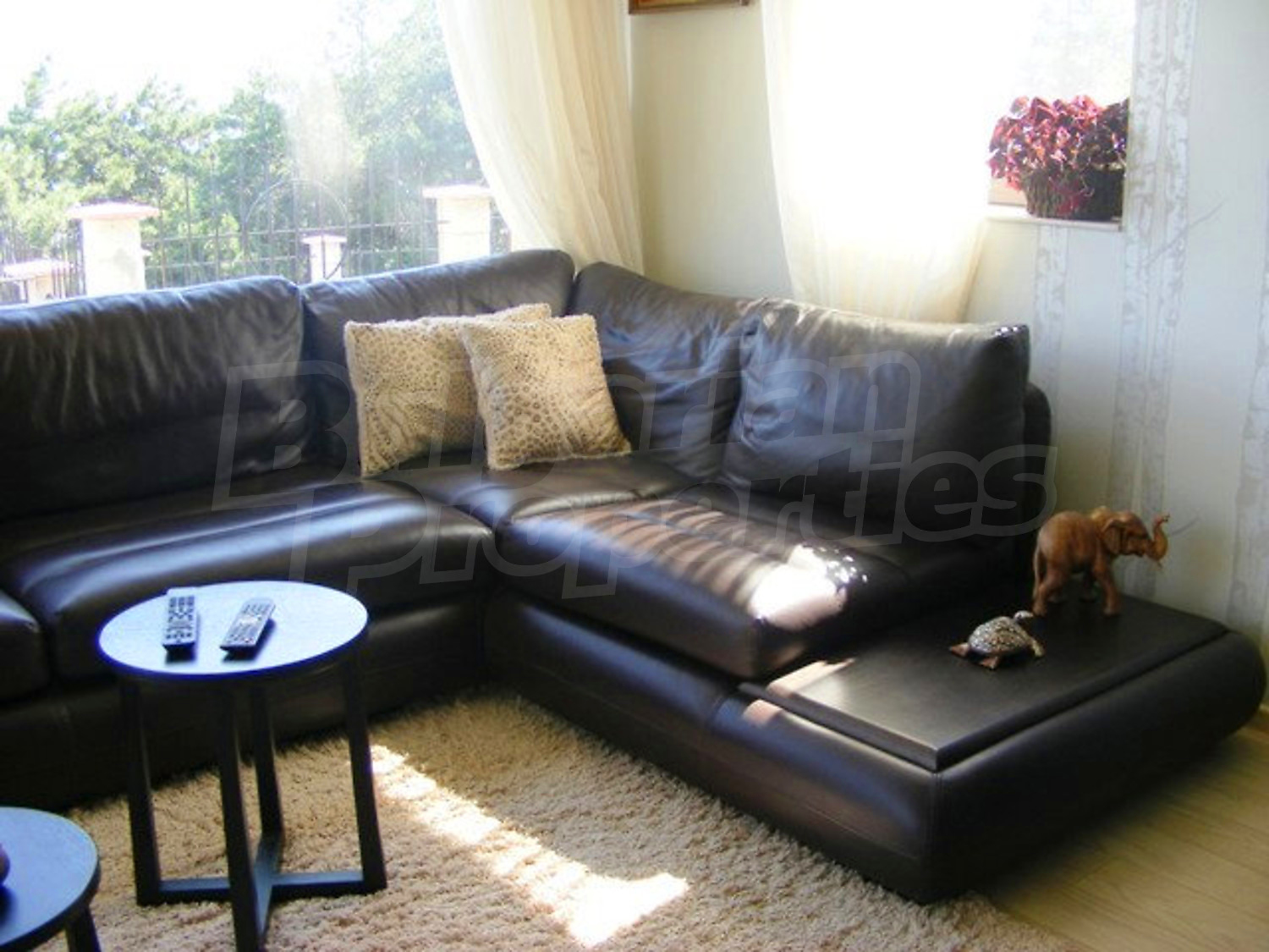 Gallery Picture 19