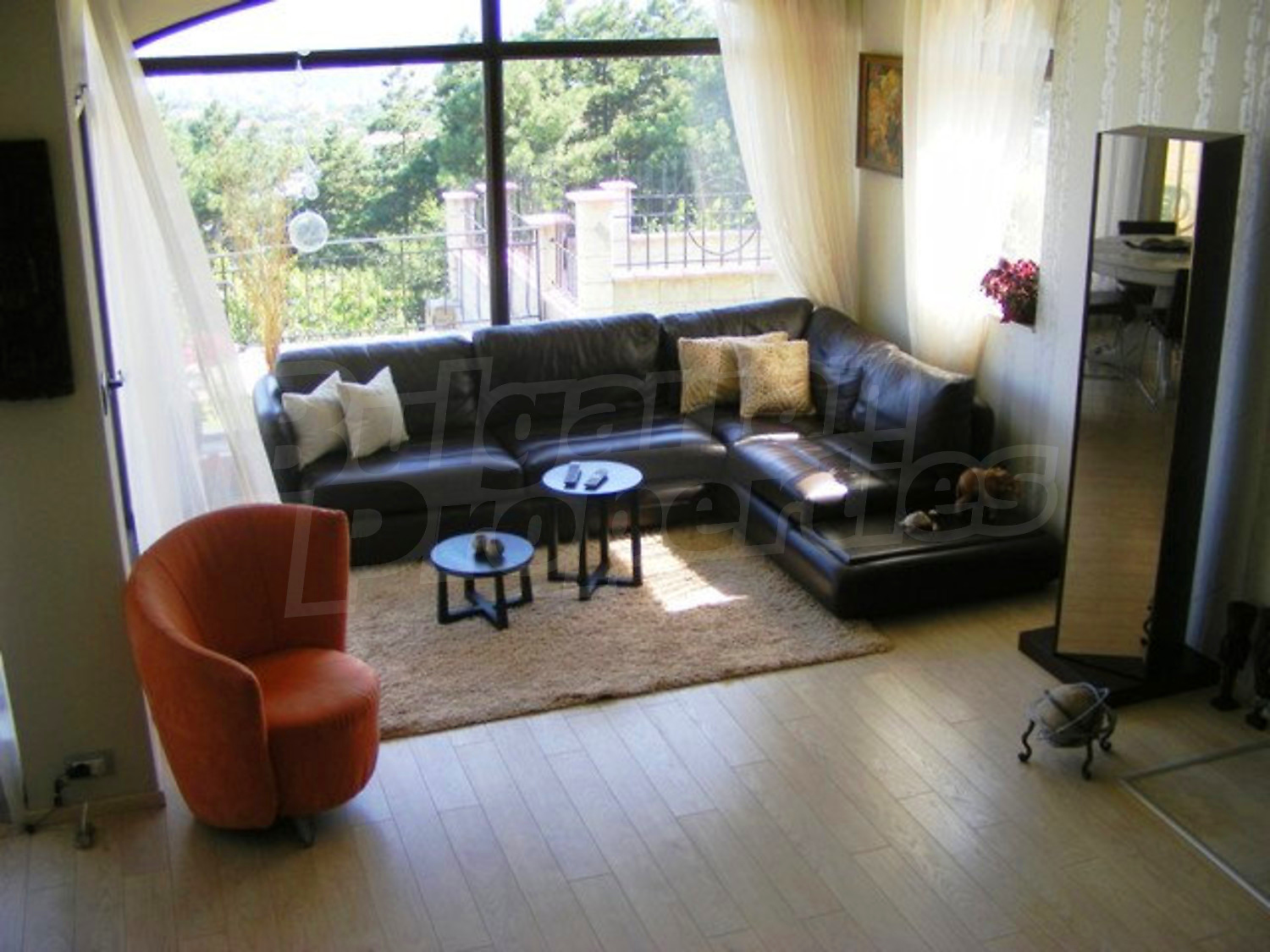 Gallery Picture 22