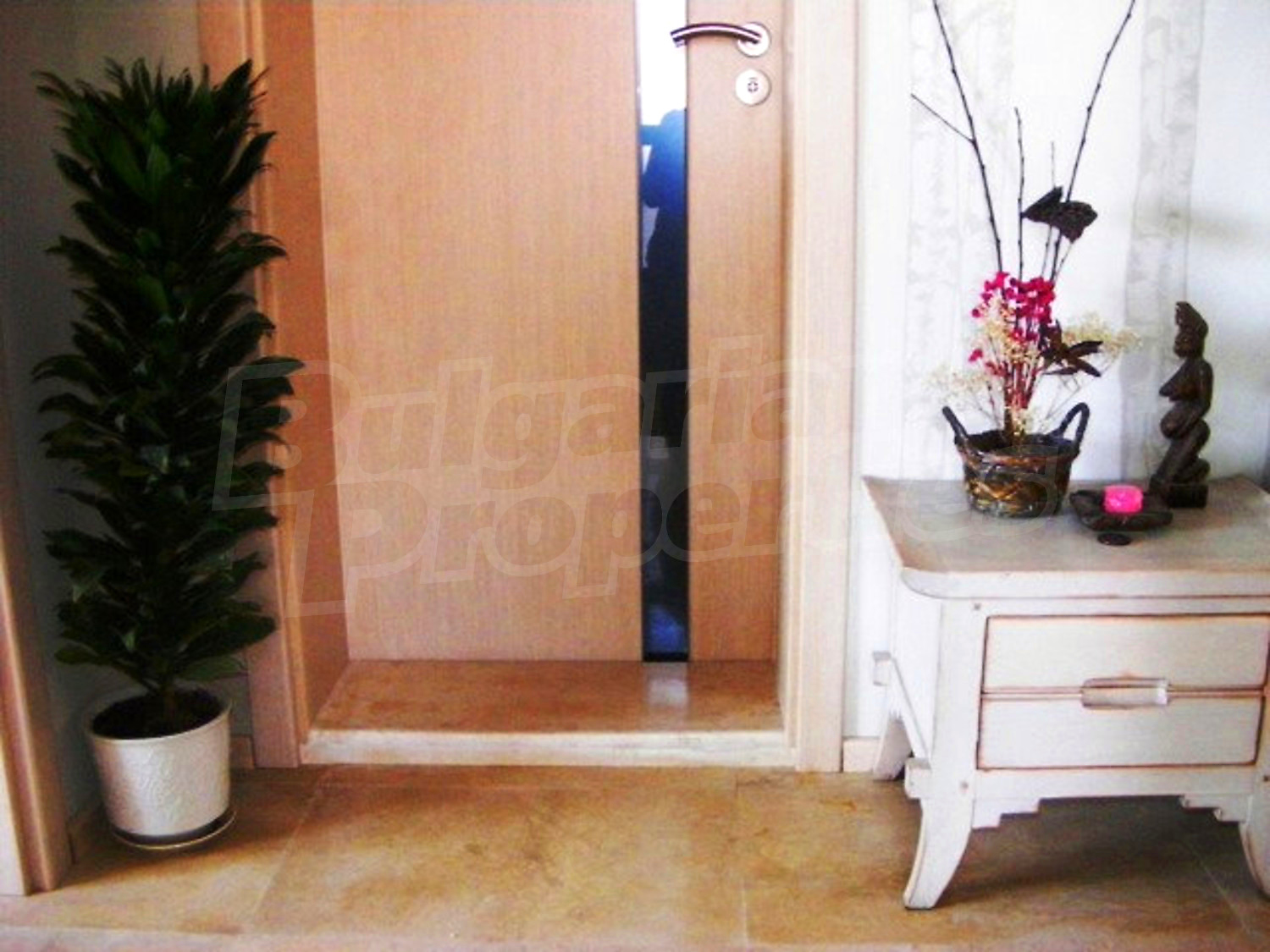 Gallery Picture 23
