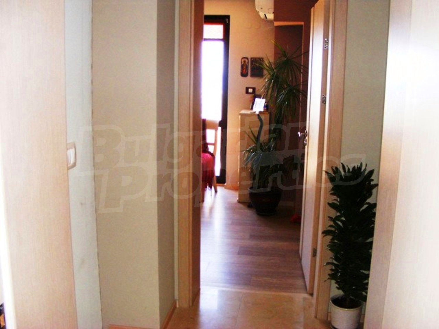 Gallery Picture 26