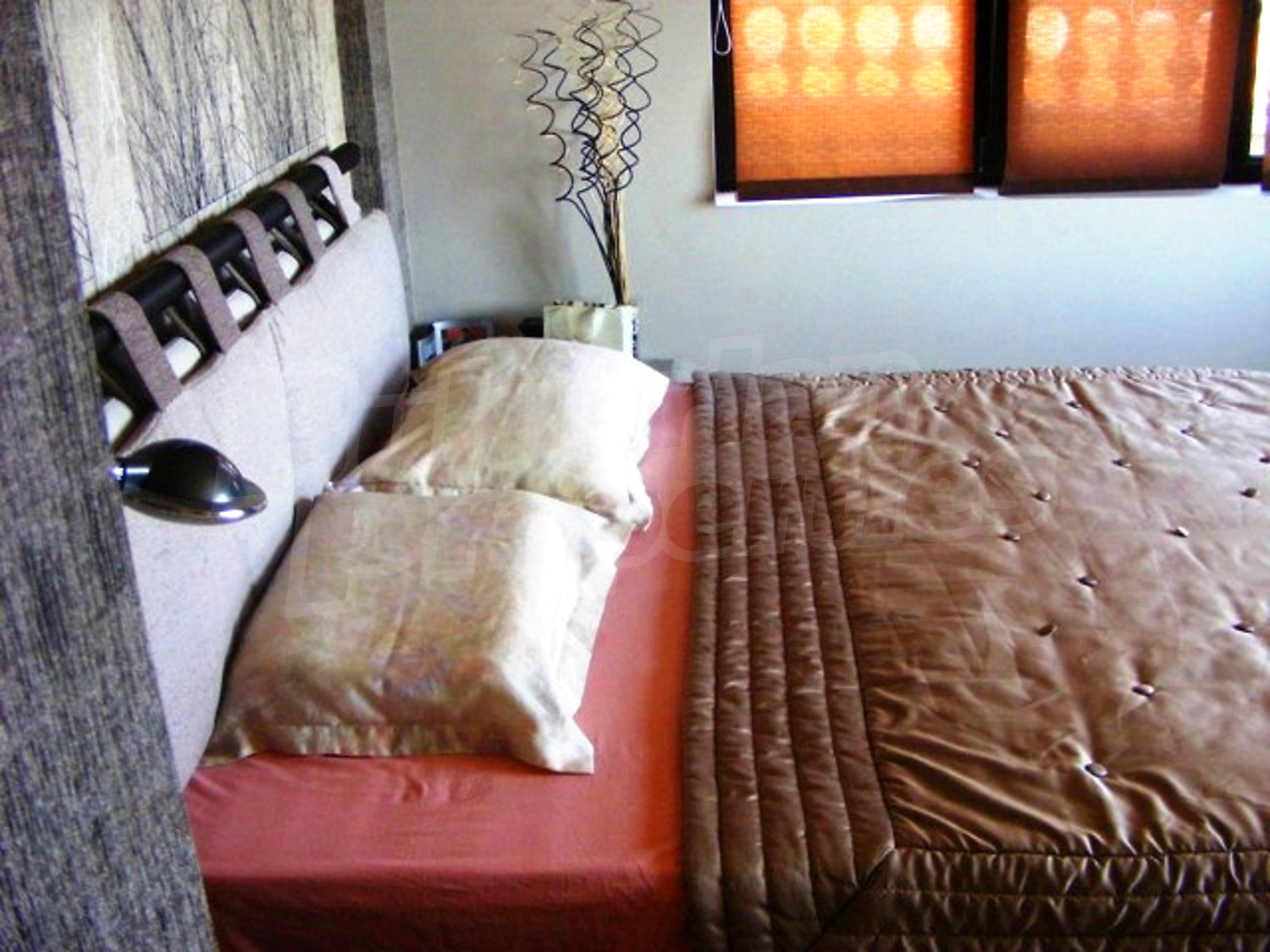 Gallery Picture 27