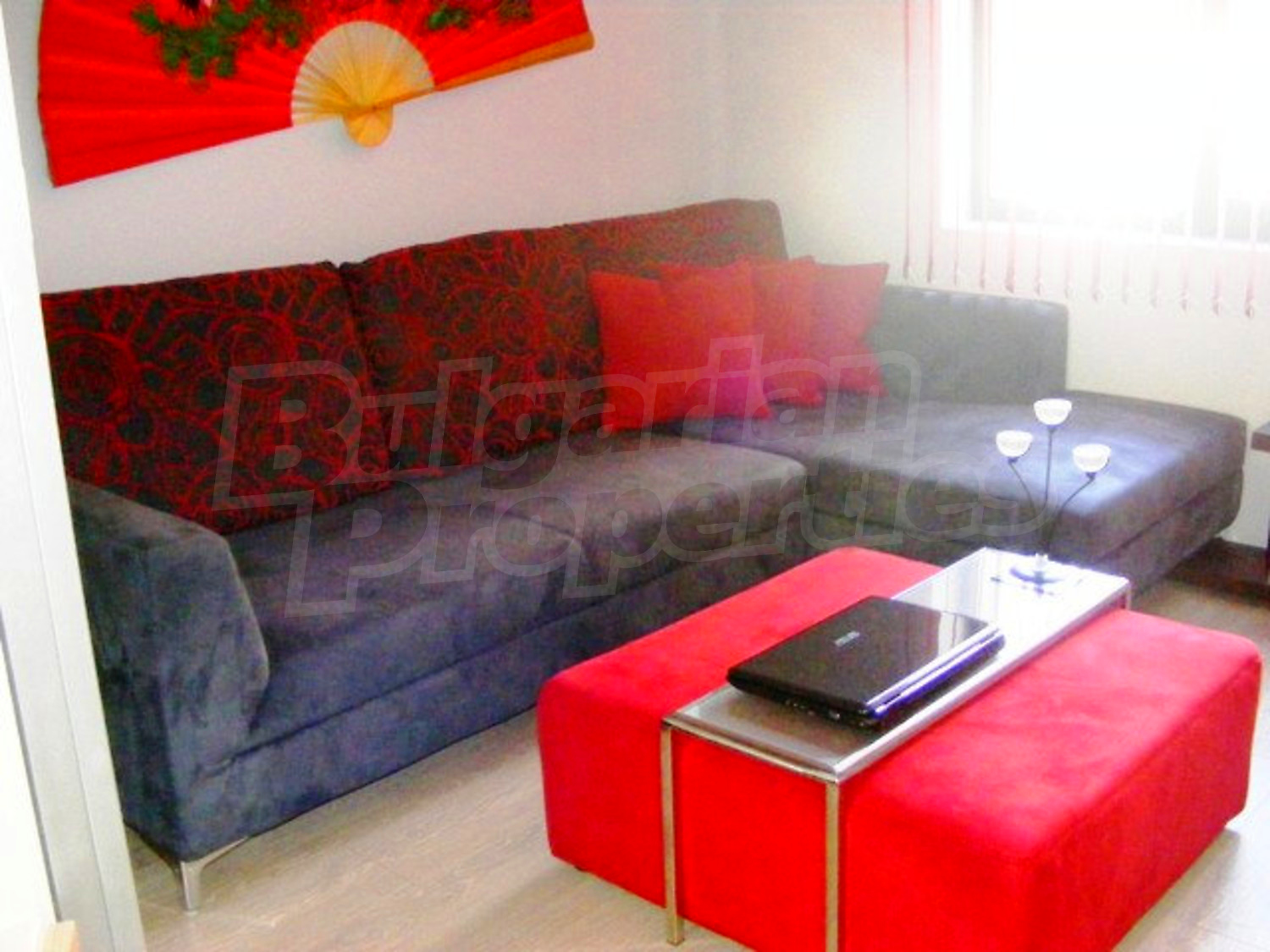 Gallery Picture 31