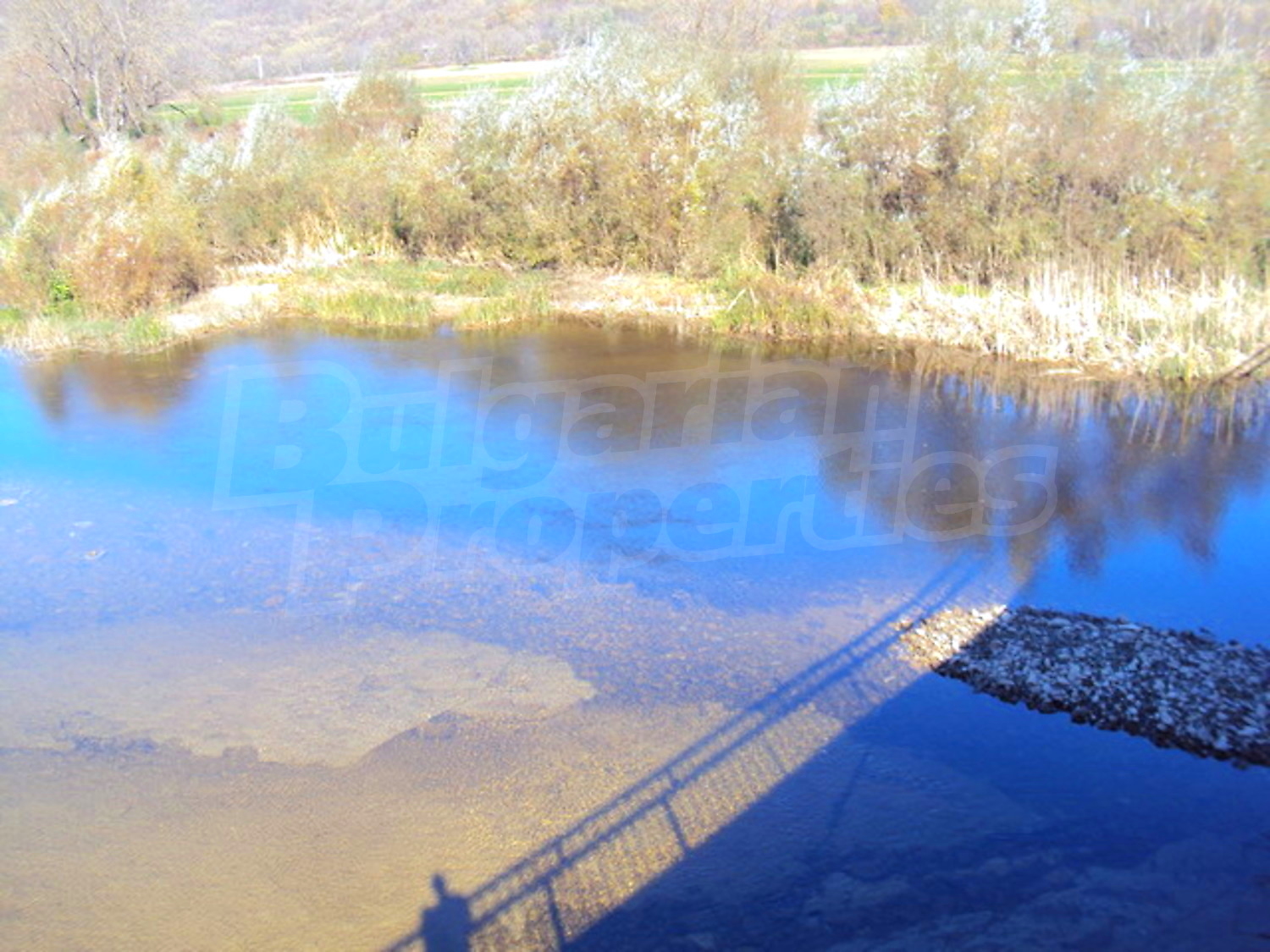 Gallery Picture 10