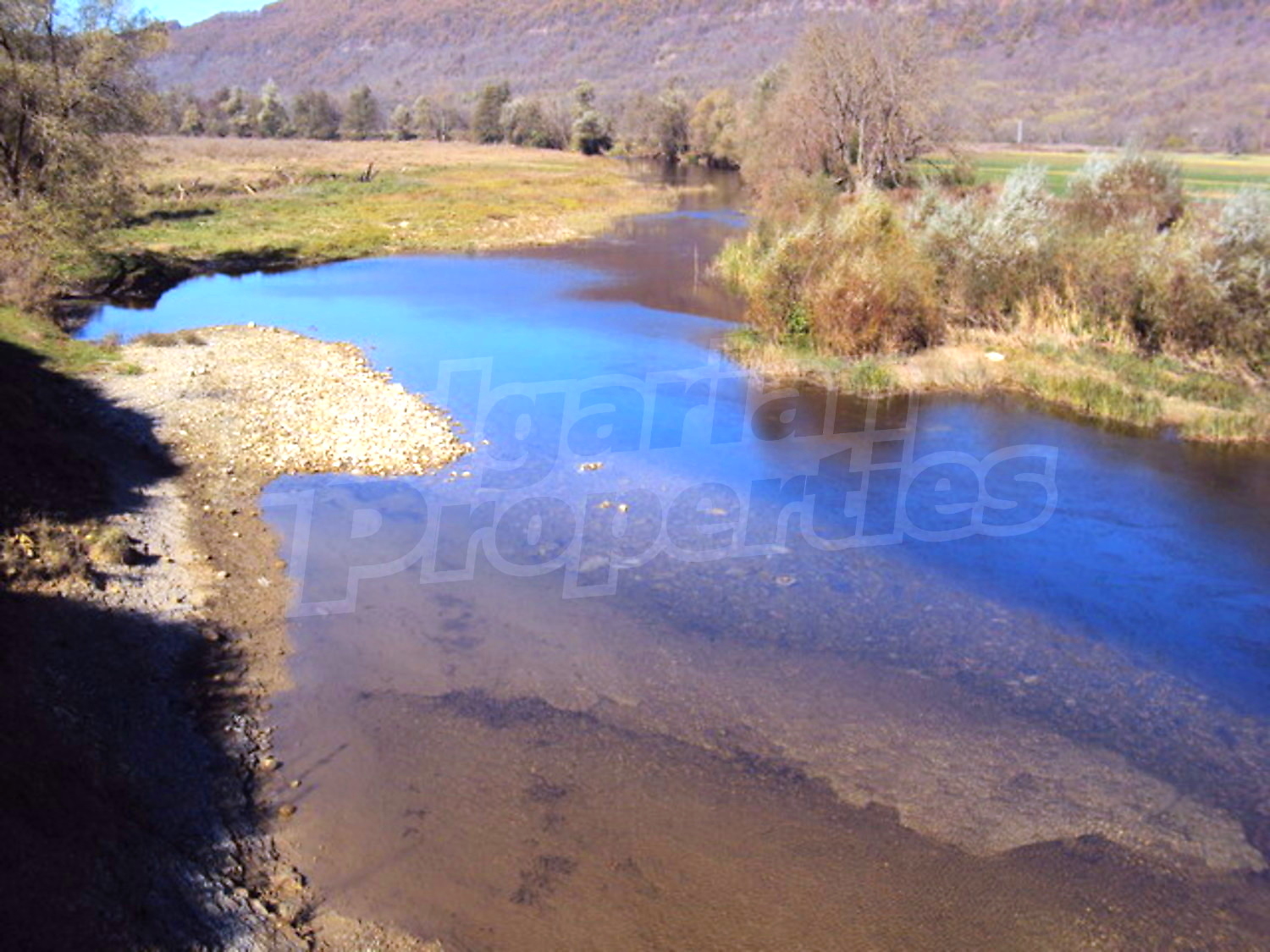 Gallery Picture 12