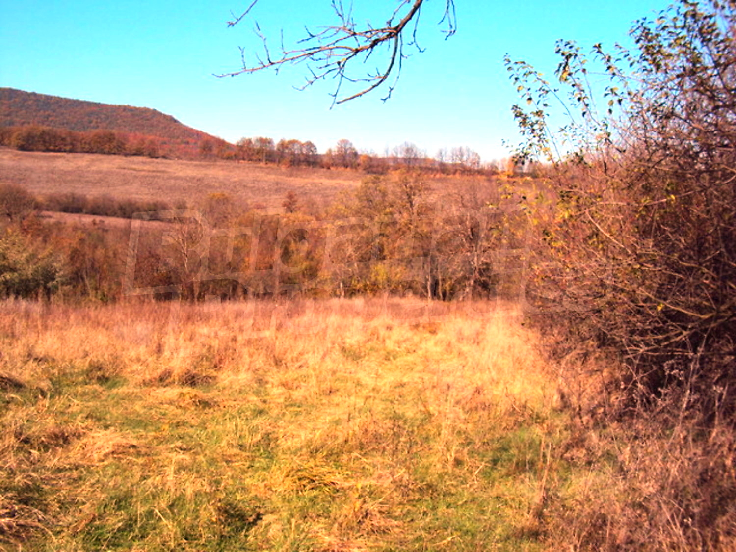 Gallery Picture 6