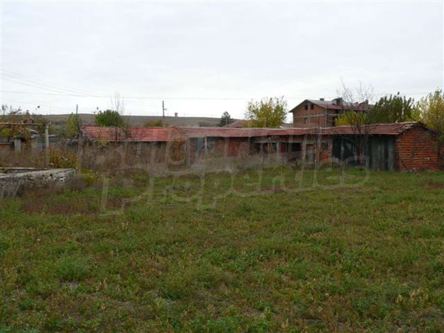 Gallery Picture 15