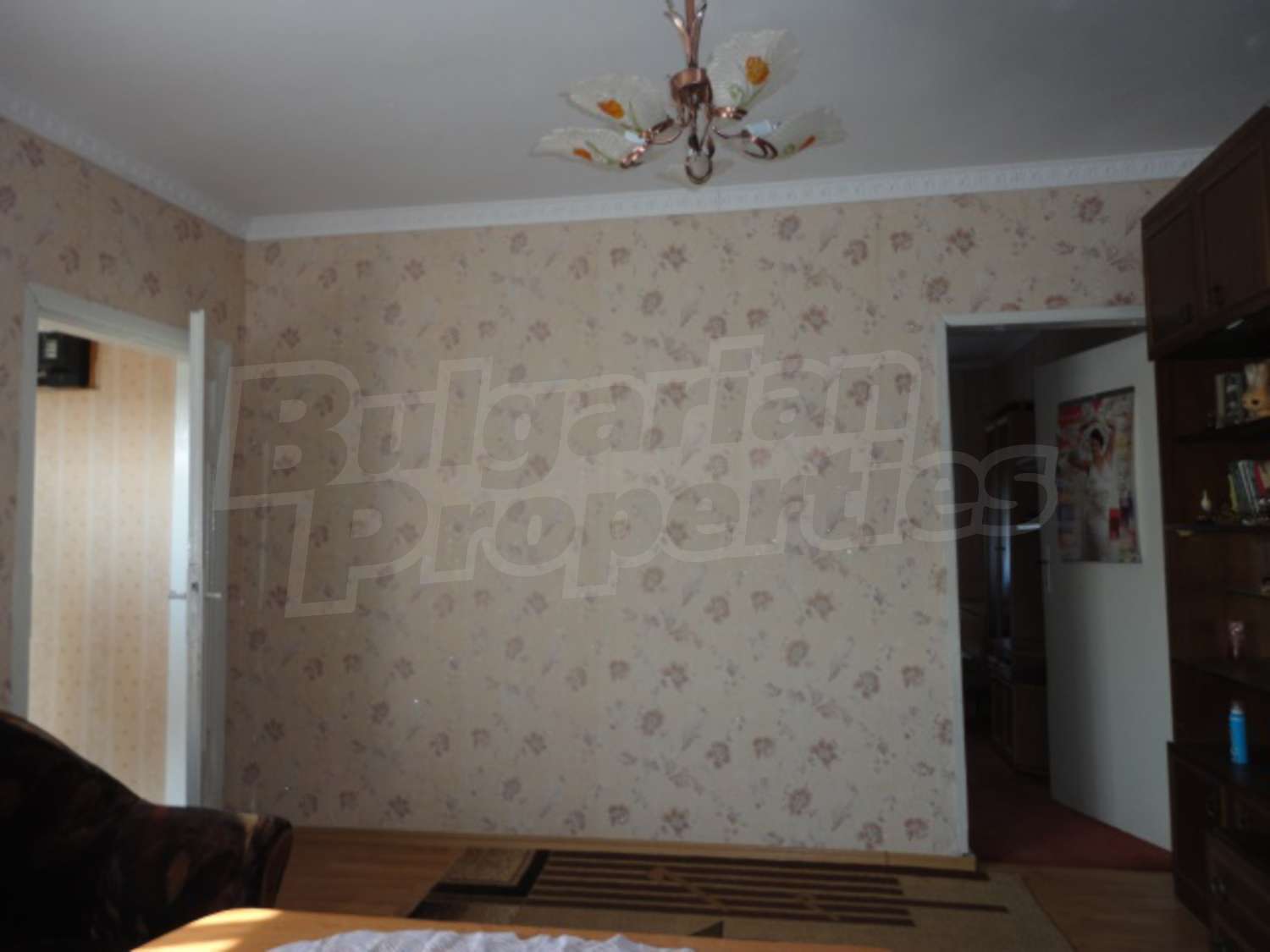 Gallery Picture 23