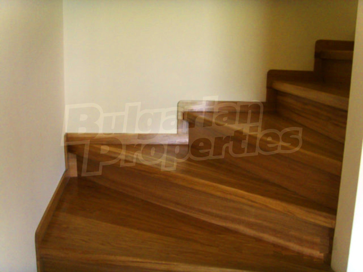 Gallery Picture 12