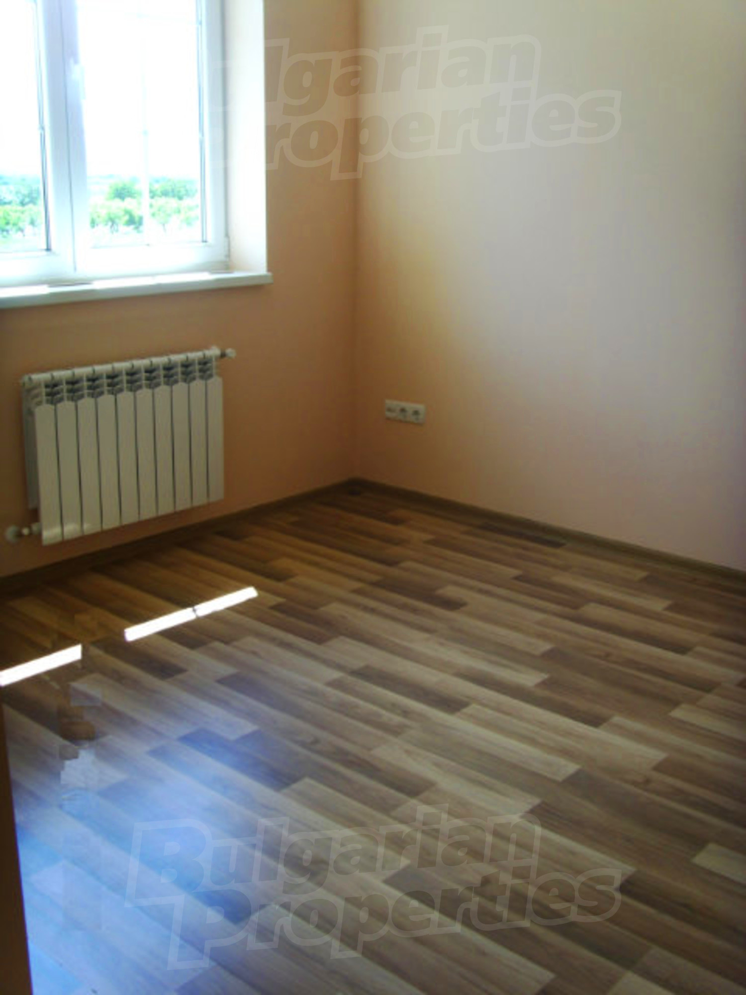 Gallery Picture 14
