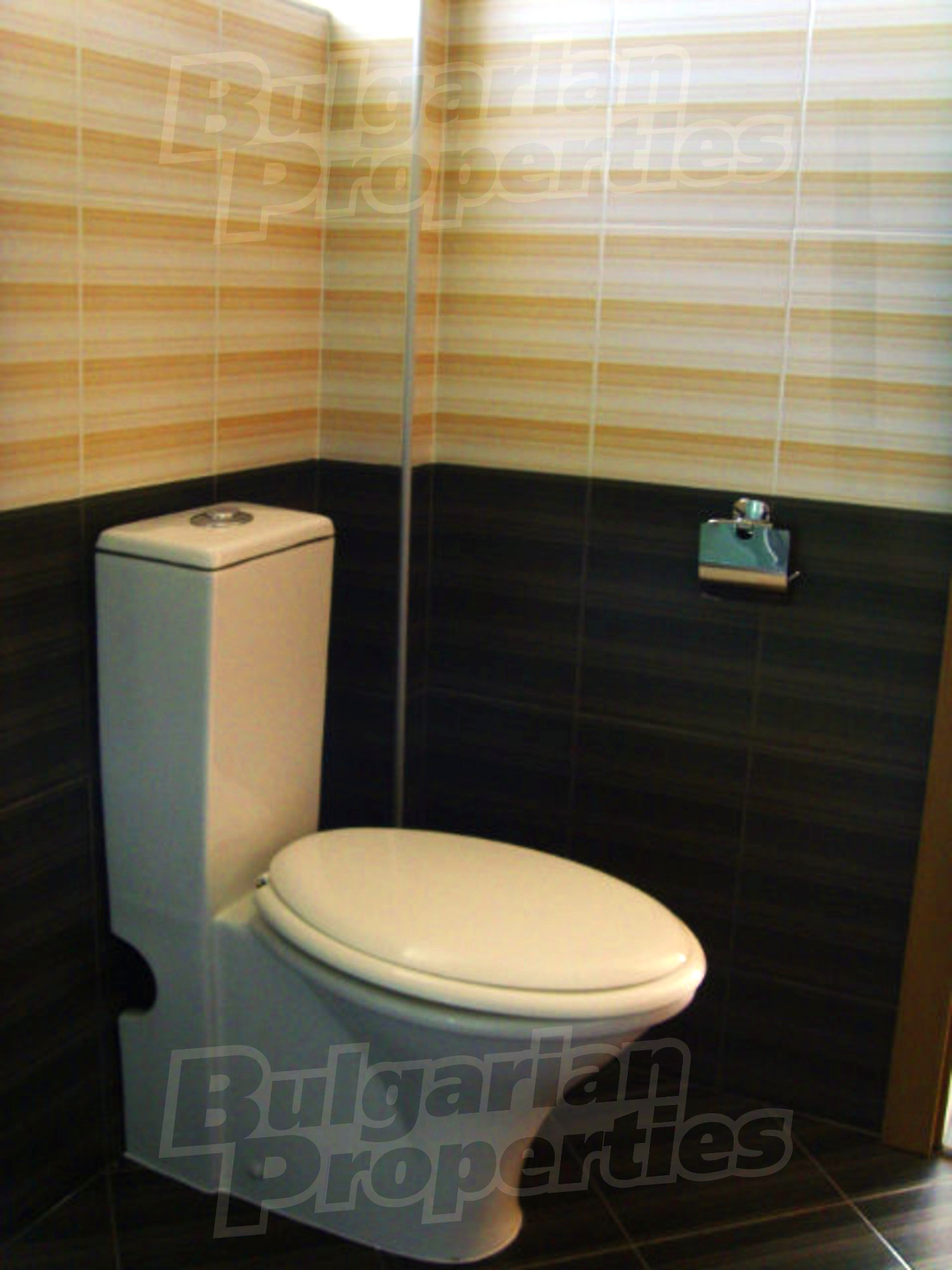 Gallery Picture 26