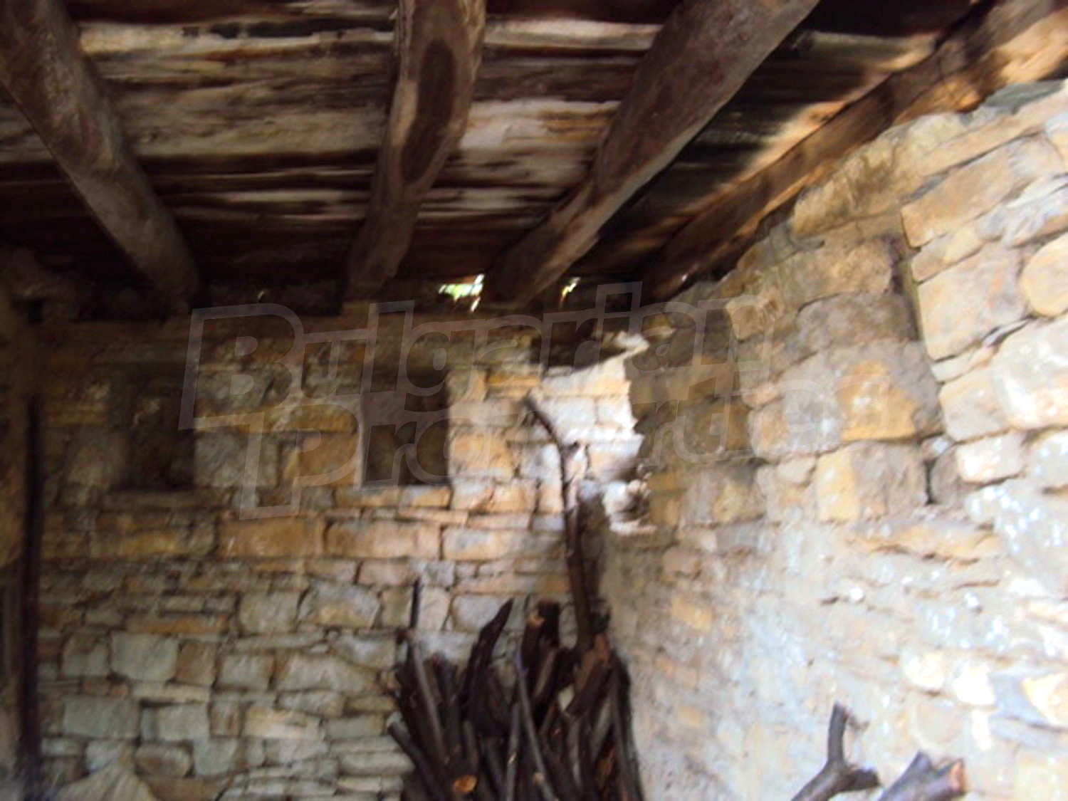 Gallery Picture 10