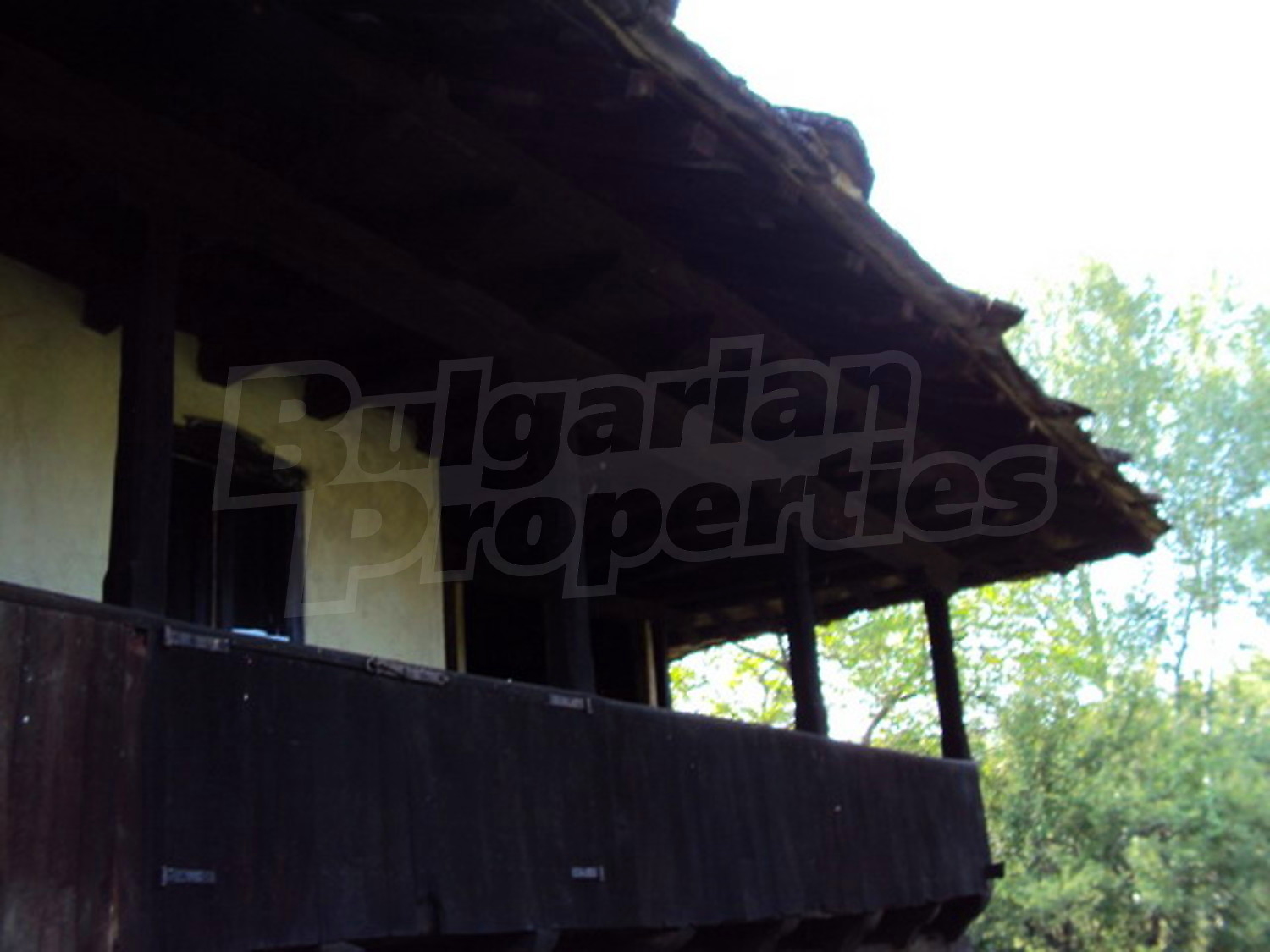 Gallery Picture 13