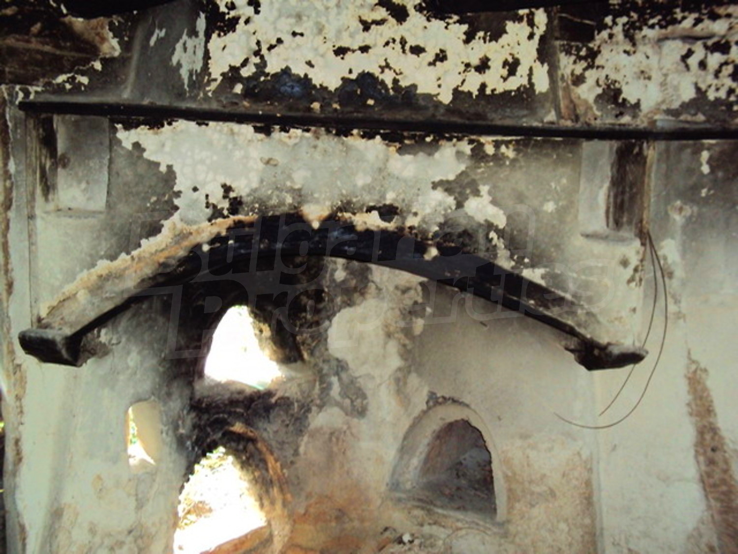 Gallery Picture 16