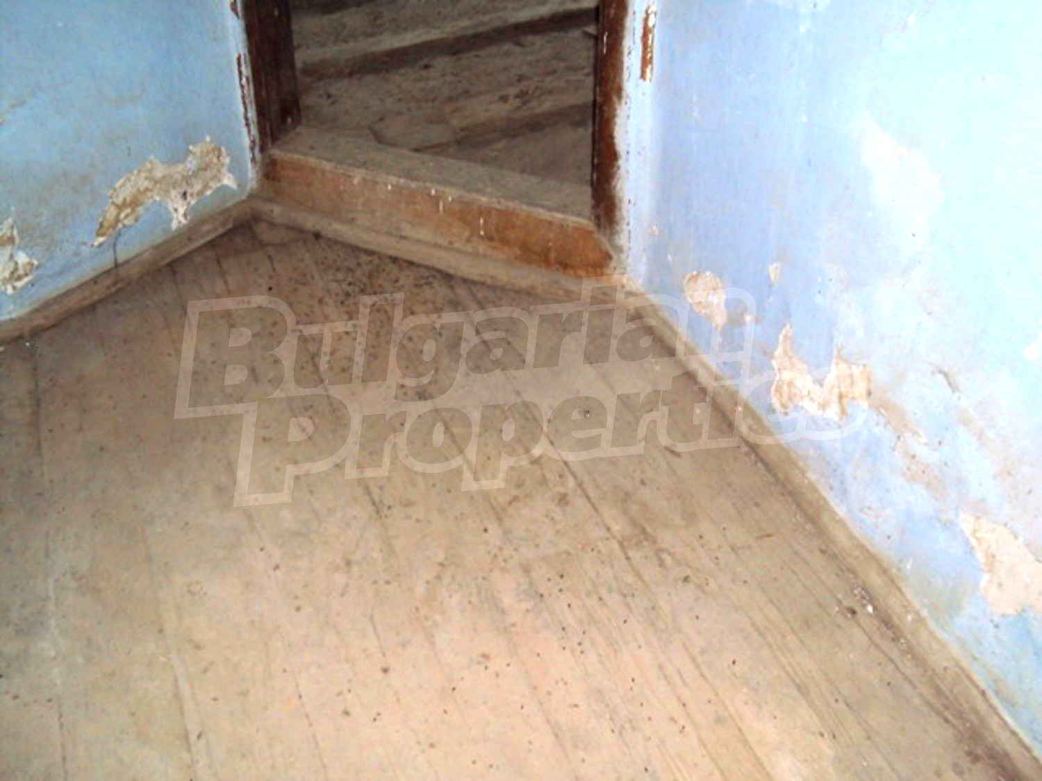 Gallery Picture 20