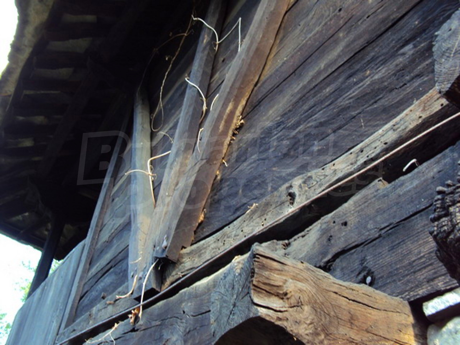 Gallery Picture 21