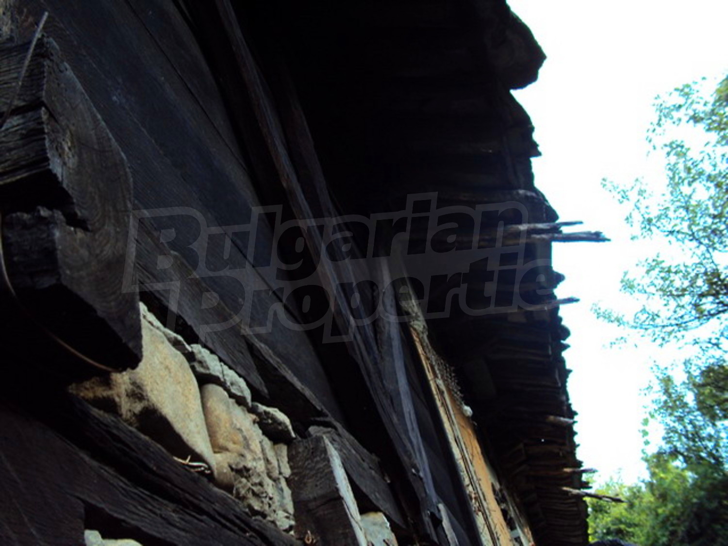 Gallery Picture 22