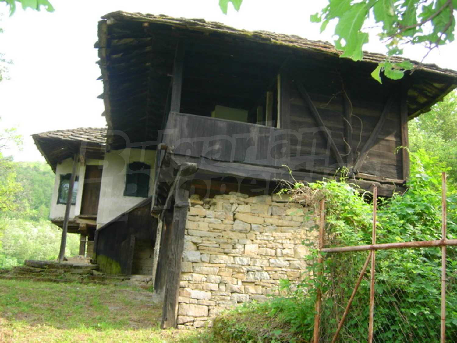 Gallery Picture 6