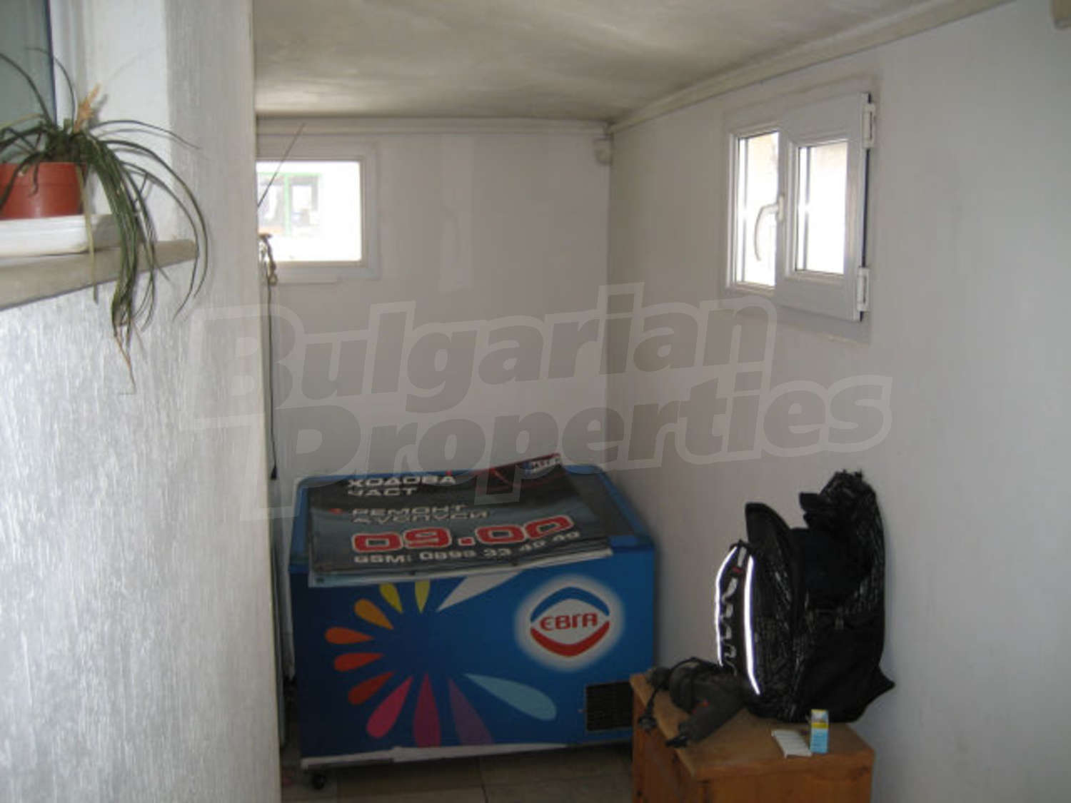 Gallery Picture 13