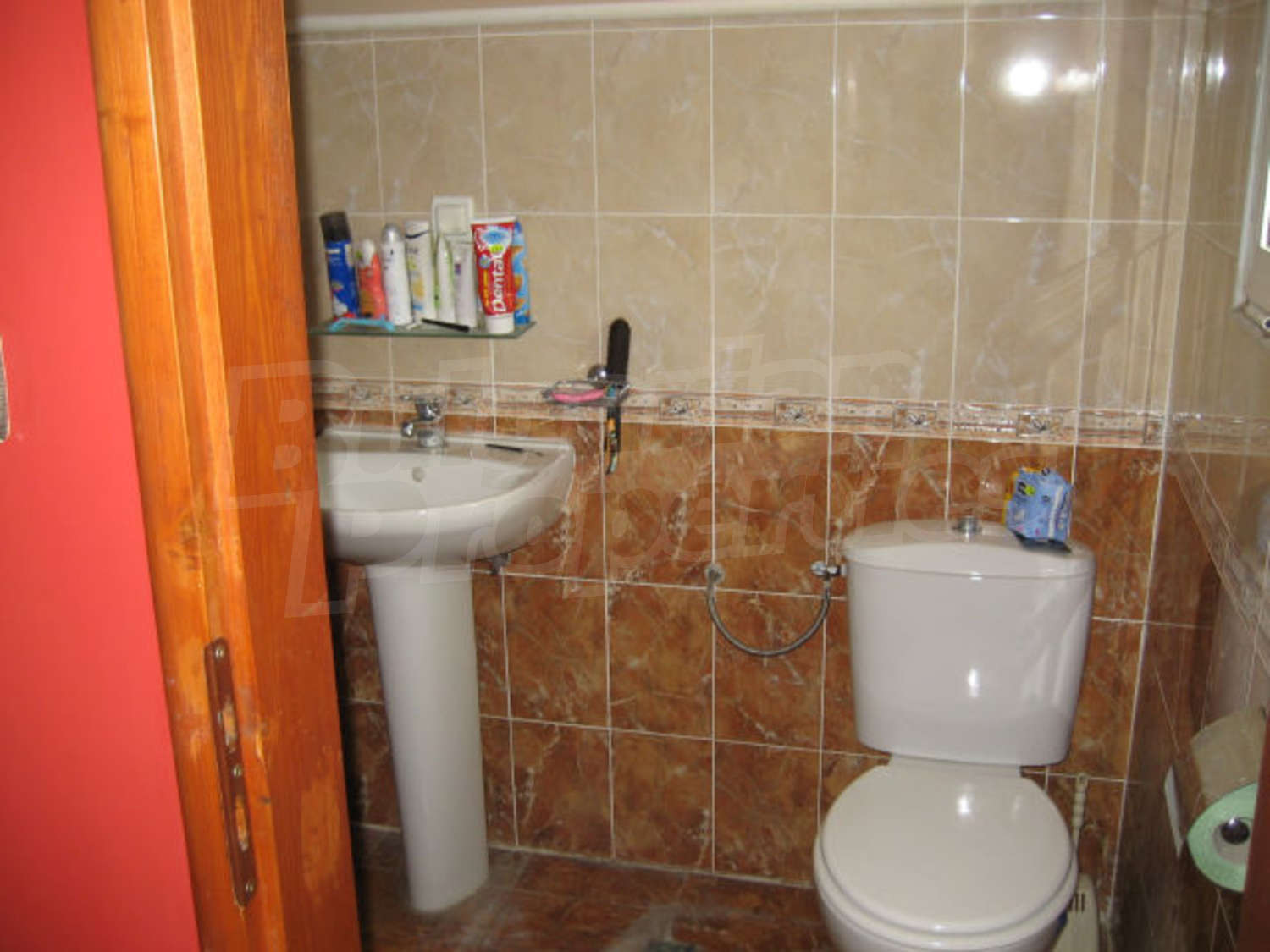 Gallery Picture 19