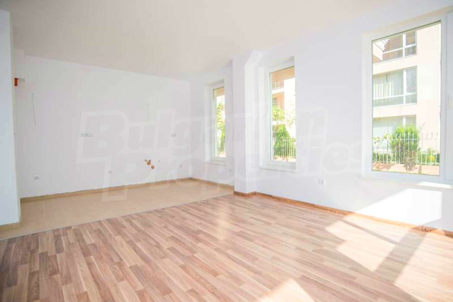 Gallery Picture 13