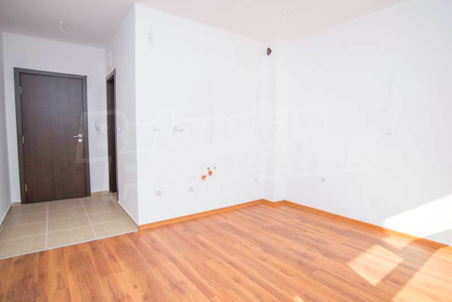 Gallery Picture 19