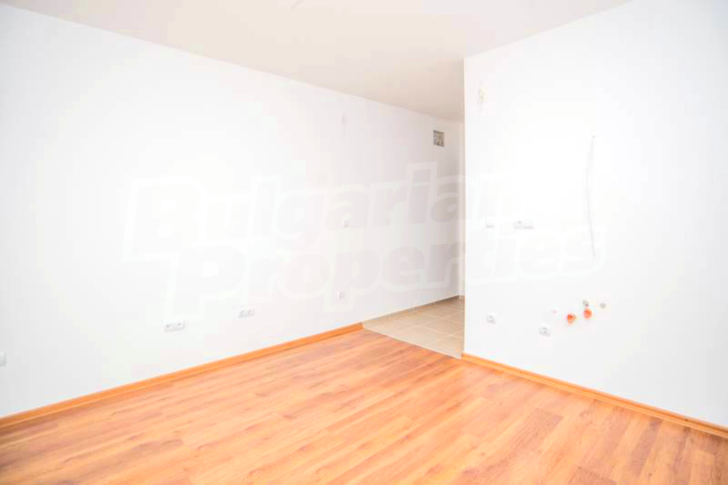 Gallery Picture 20
