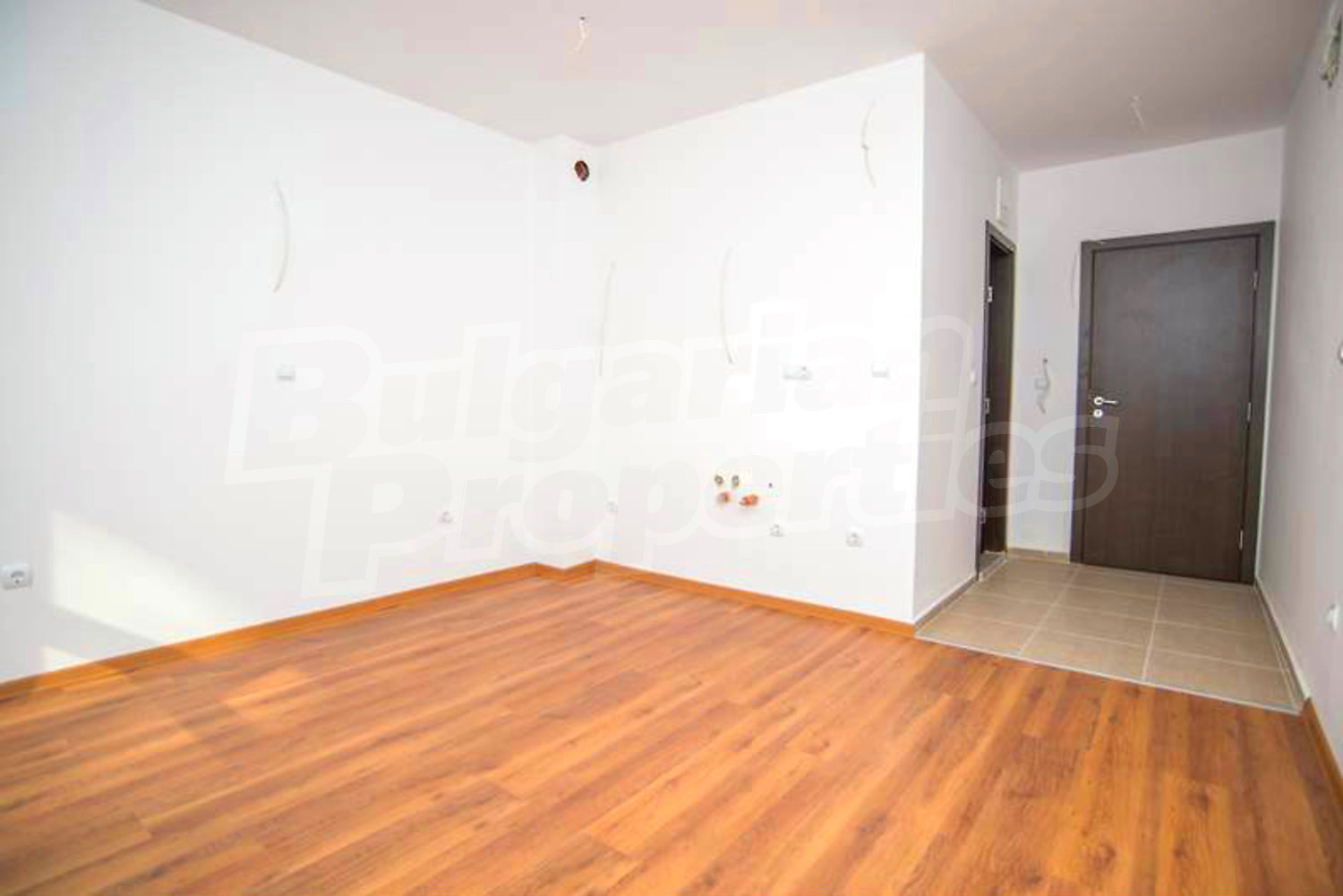 Gallery Picture 23