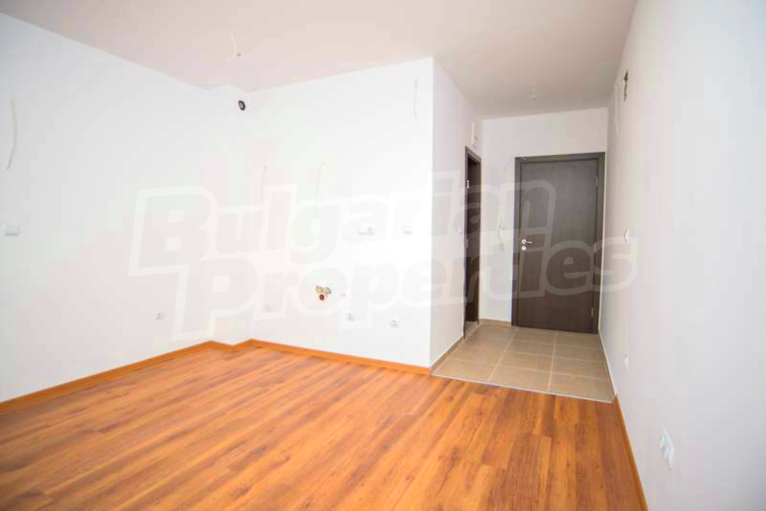 Gallery Picture 27