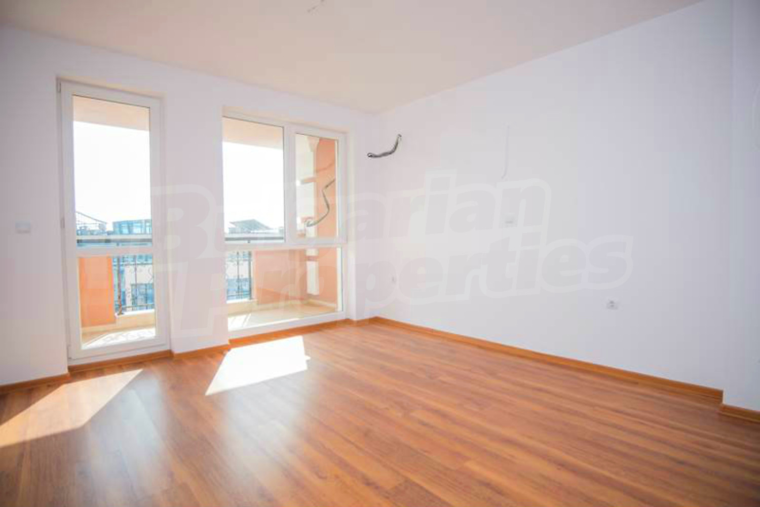 Gallery Picture 29