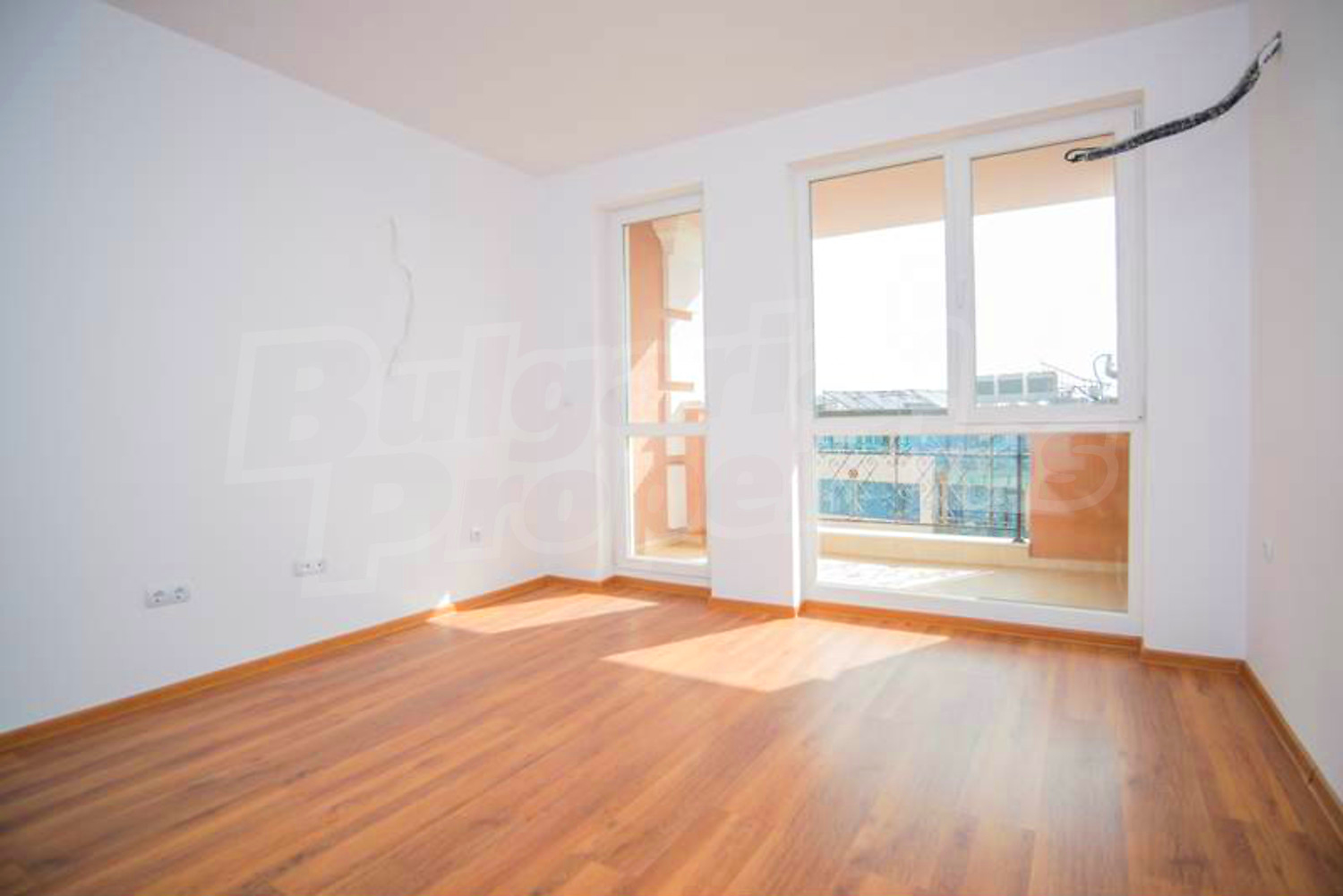Gallery Picture 30