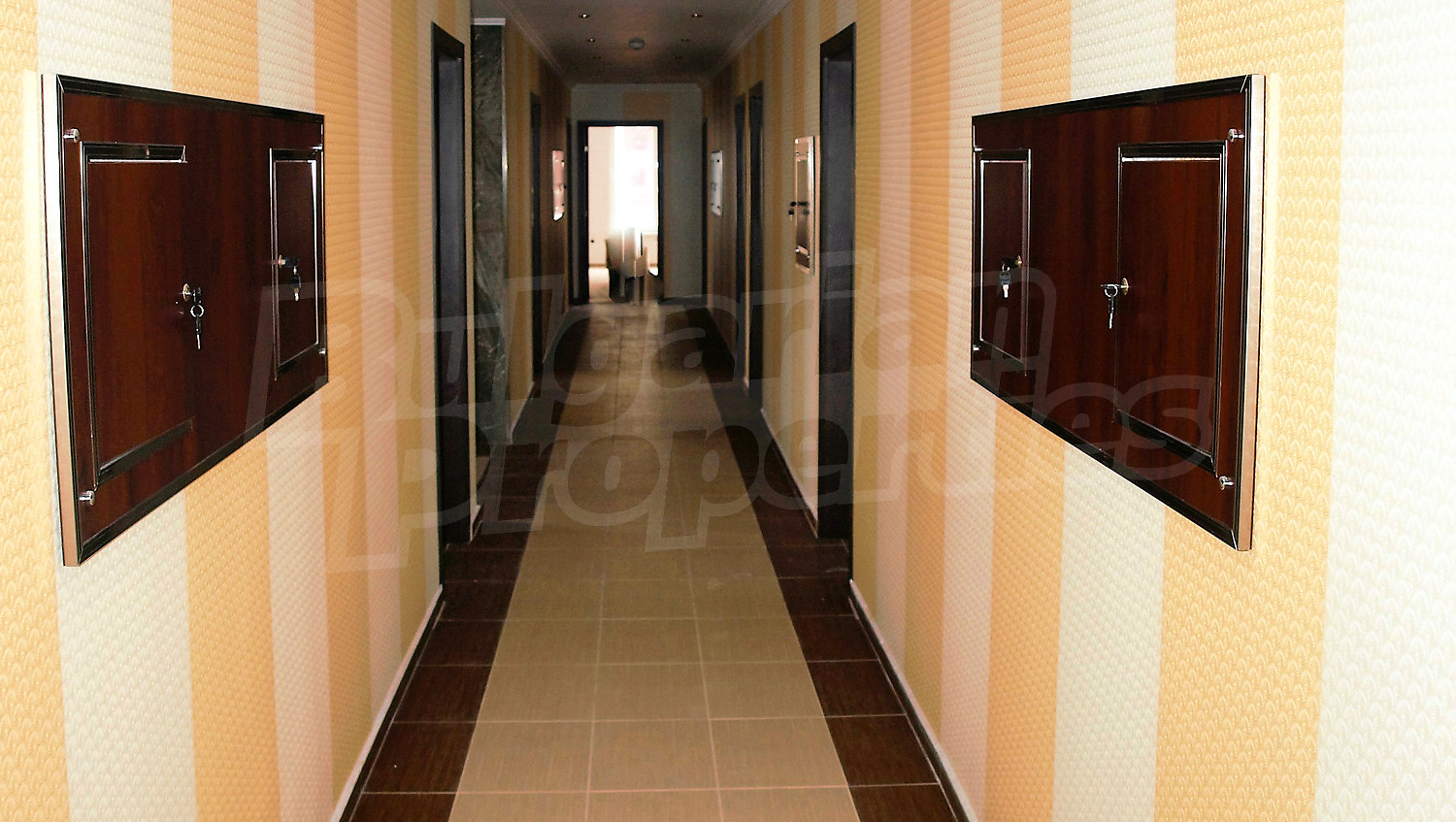 Gallery Picture 43