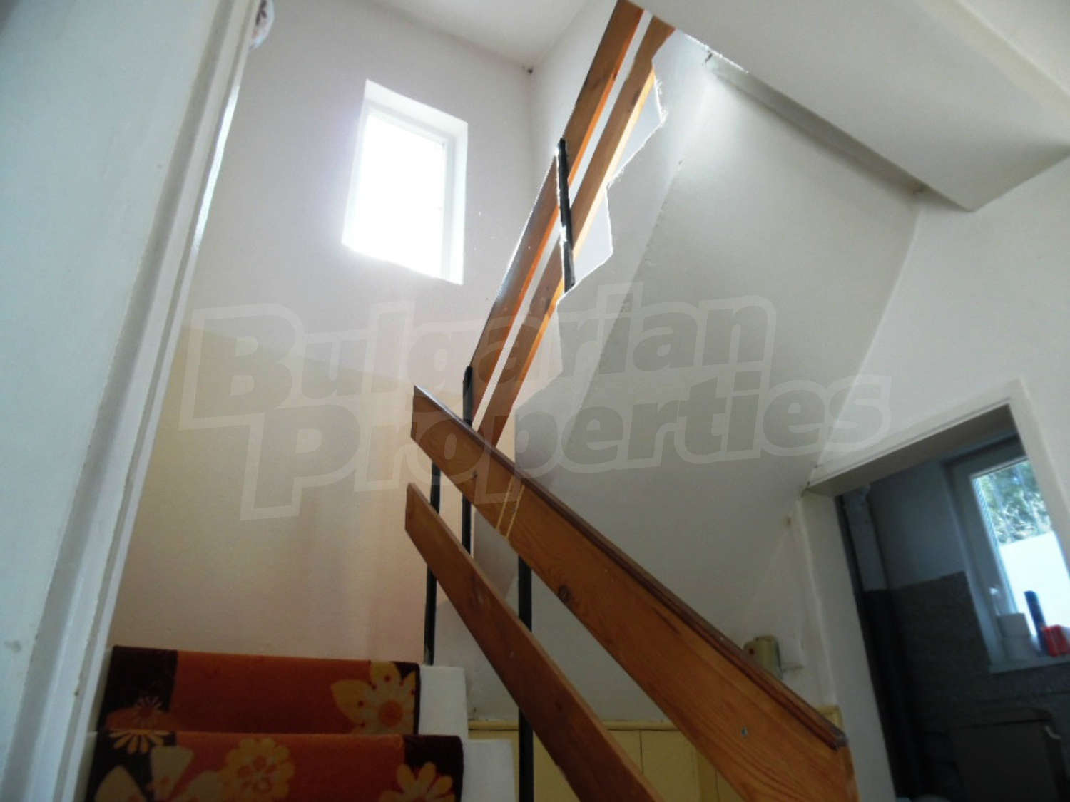 Gallery Picture 14