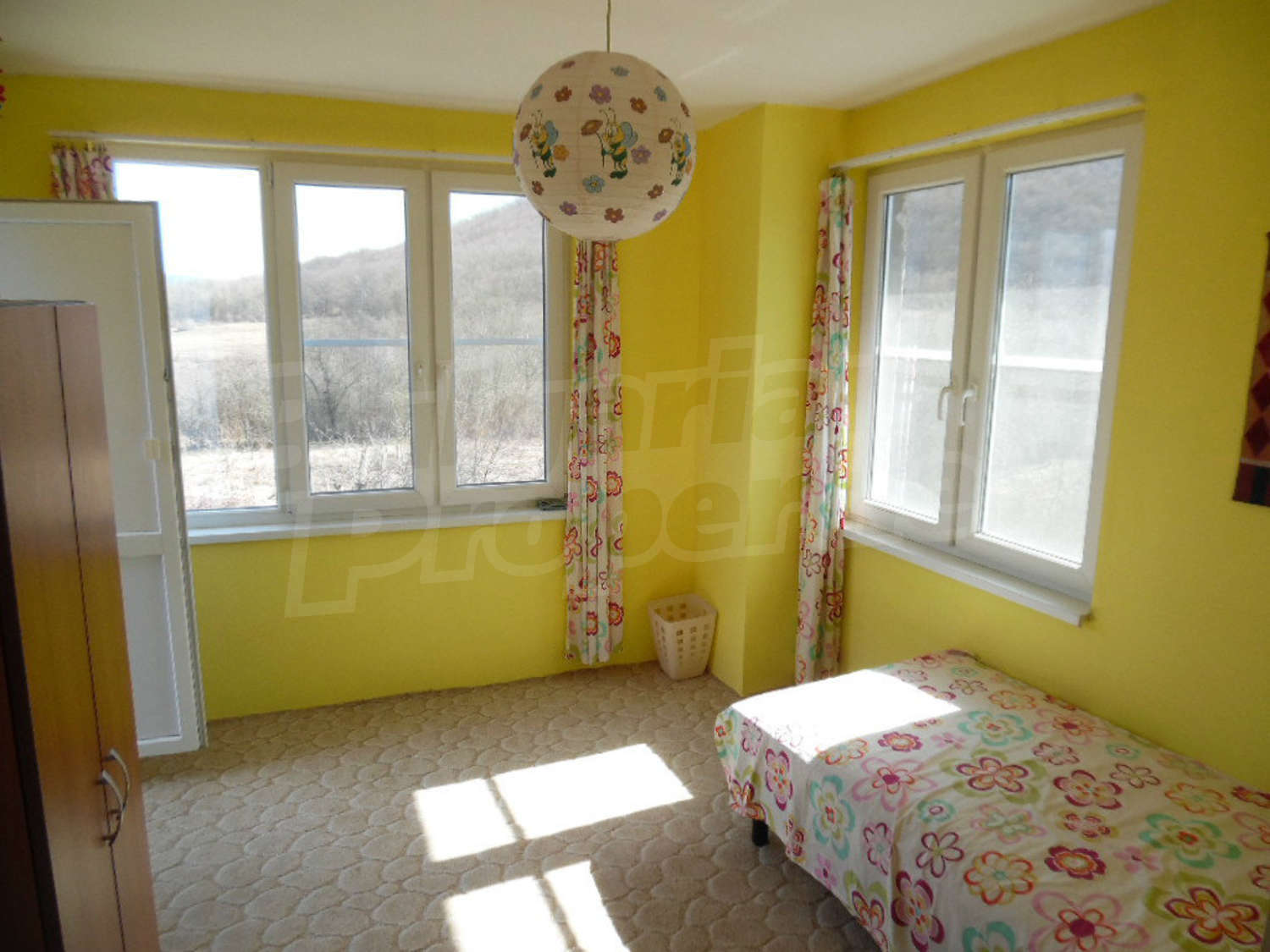 Gallery Picture 17